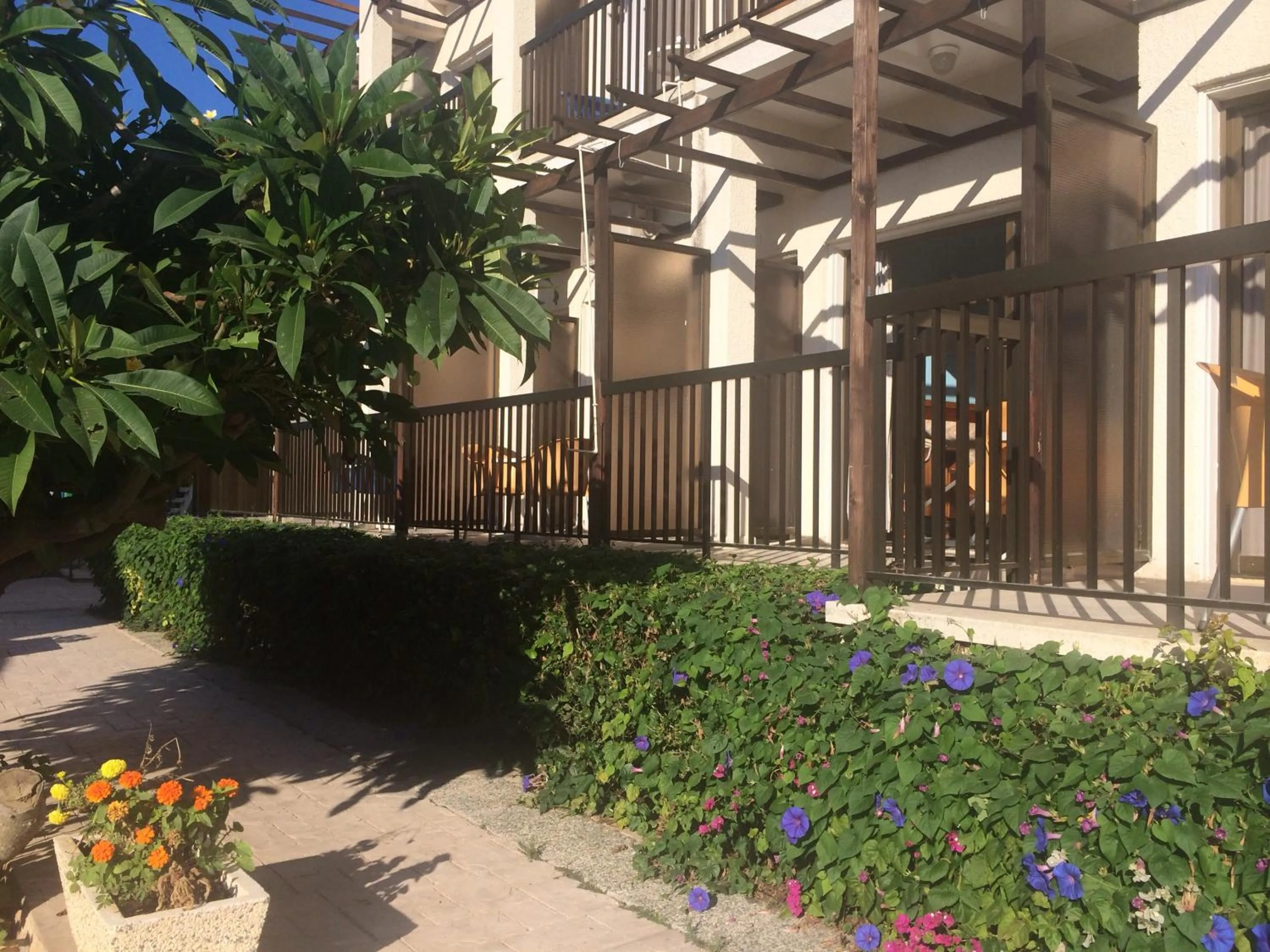 Property building in Kings Annex