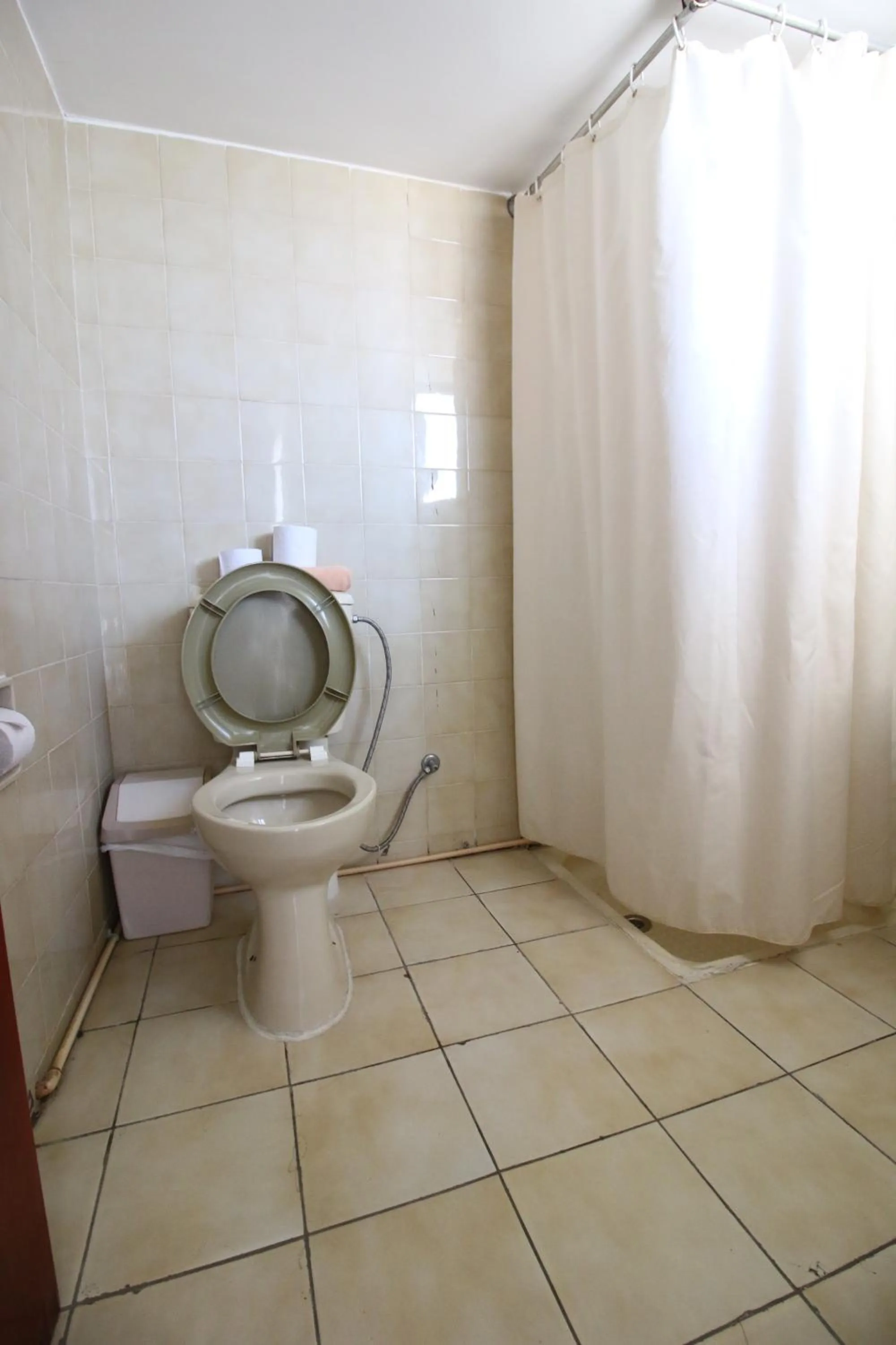 Toilet in Kings Annex