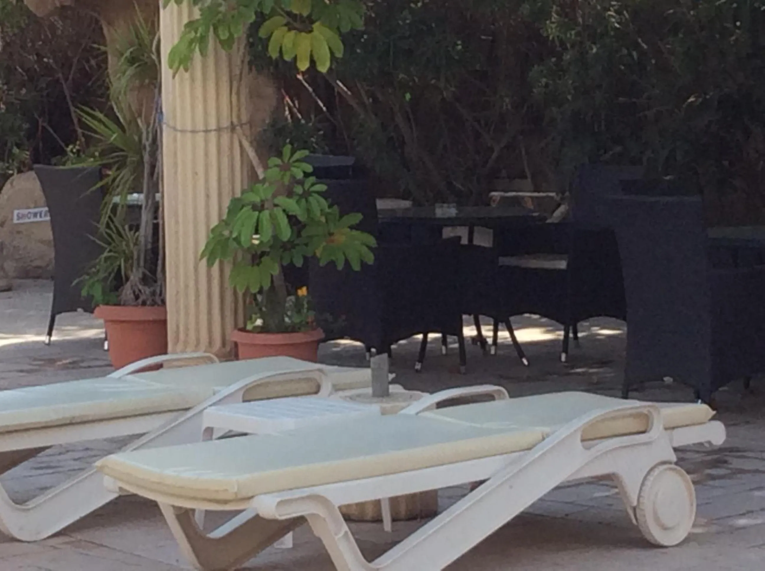 Garden in Kings Annex