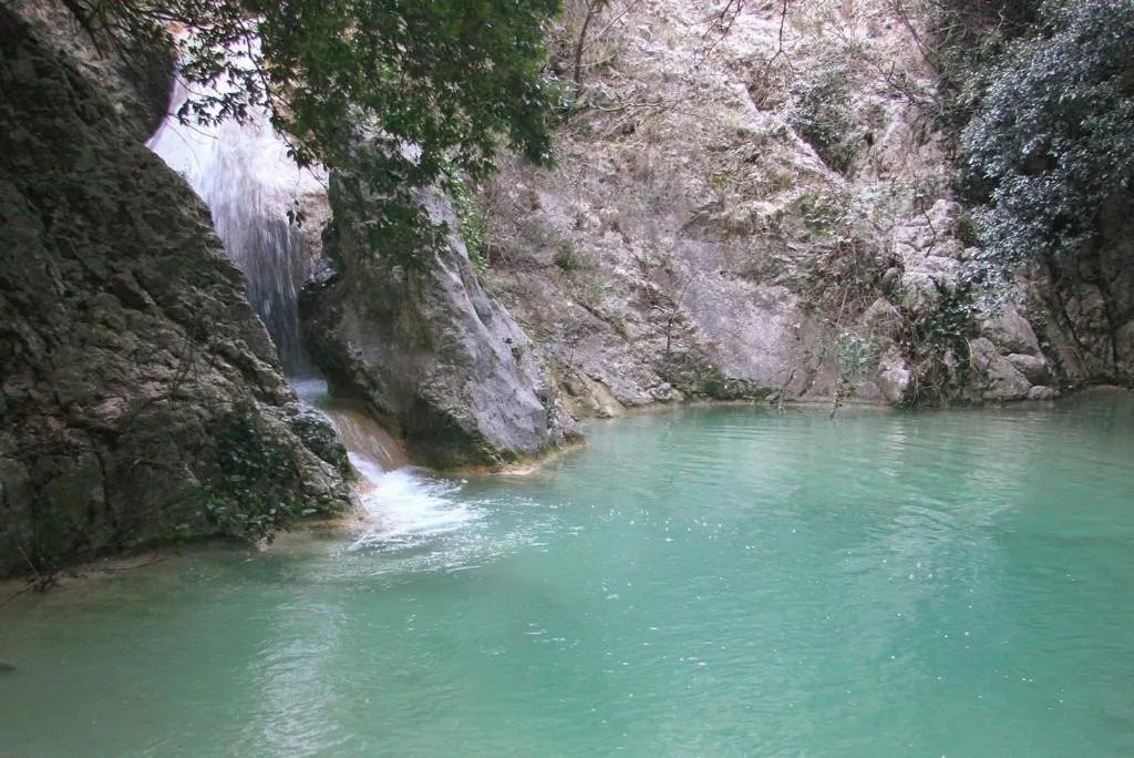 Natural landscape in Mobile Homes Romantik