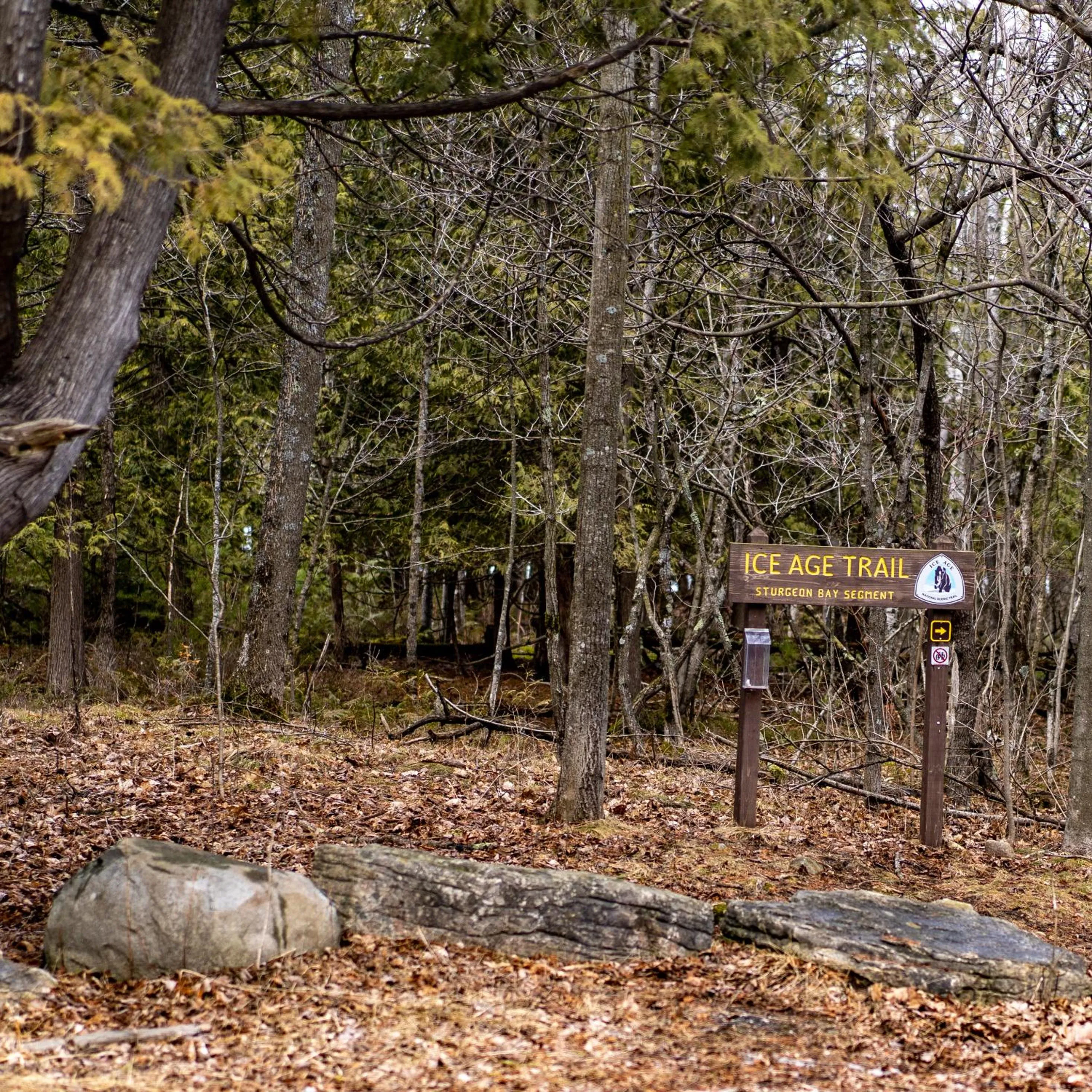 Hiking in Beach Harbor Resort