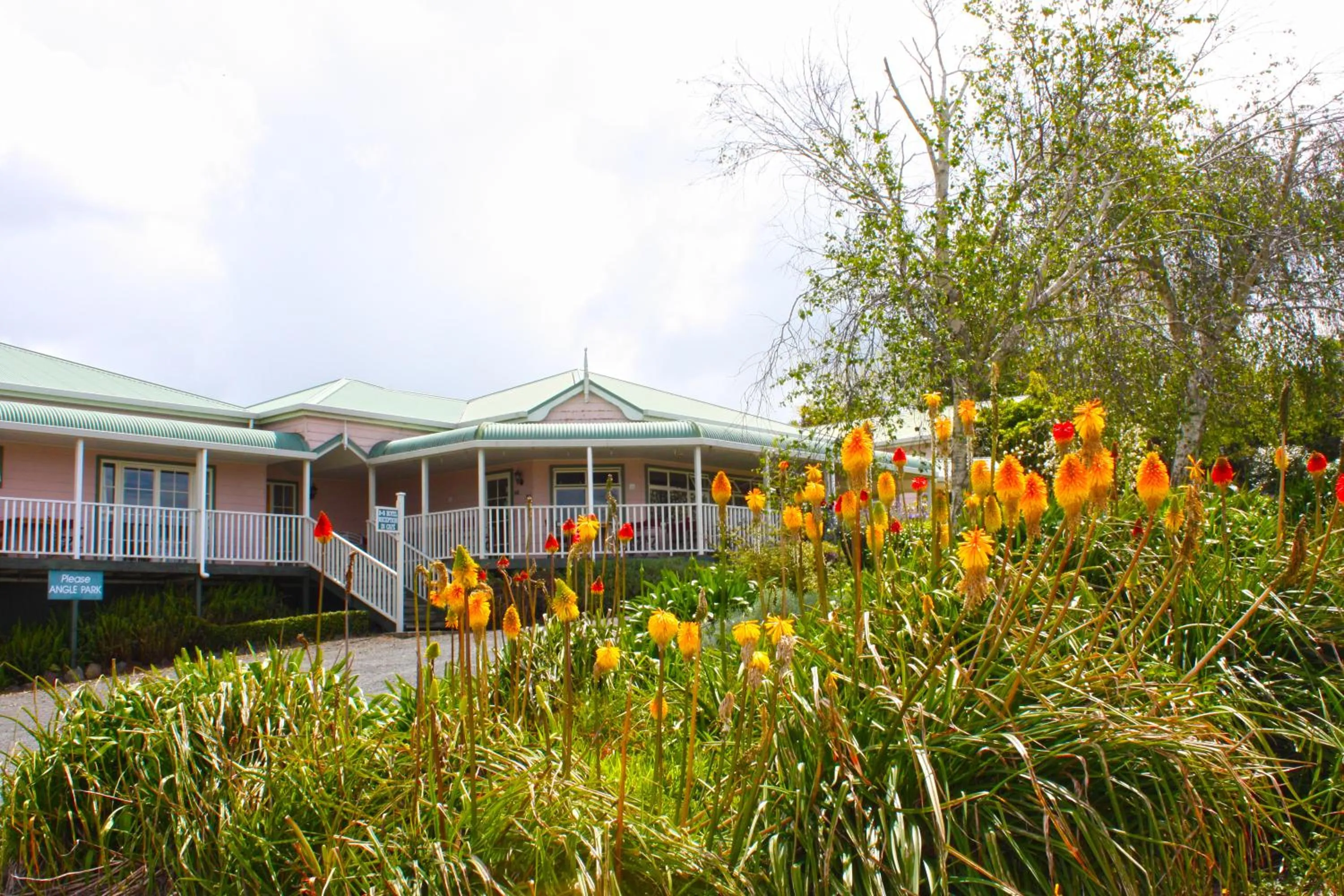 Property building in Matakohe House