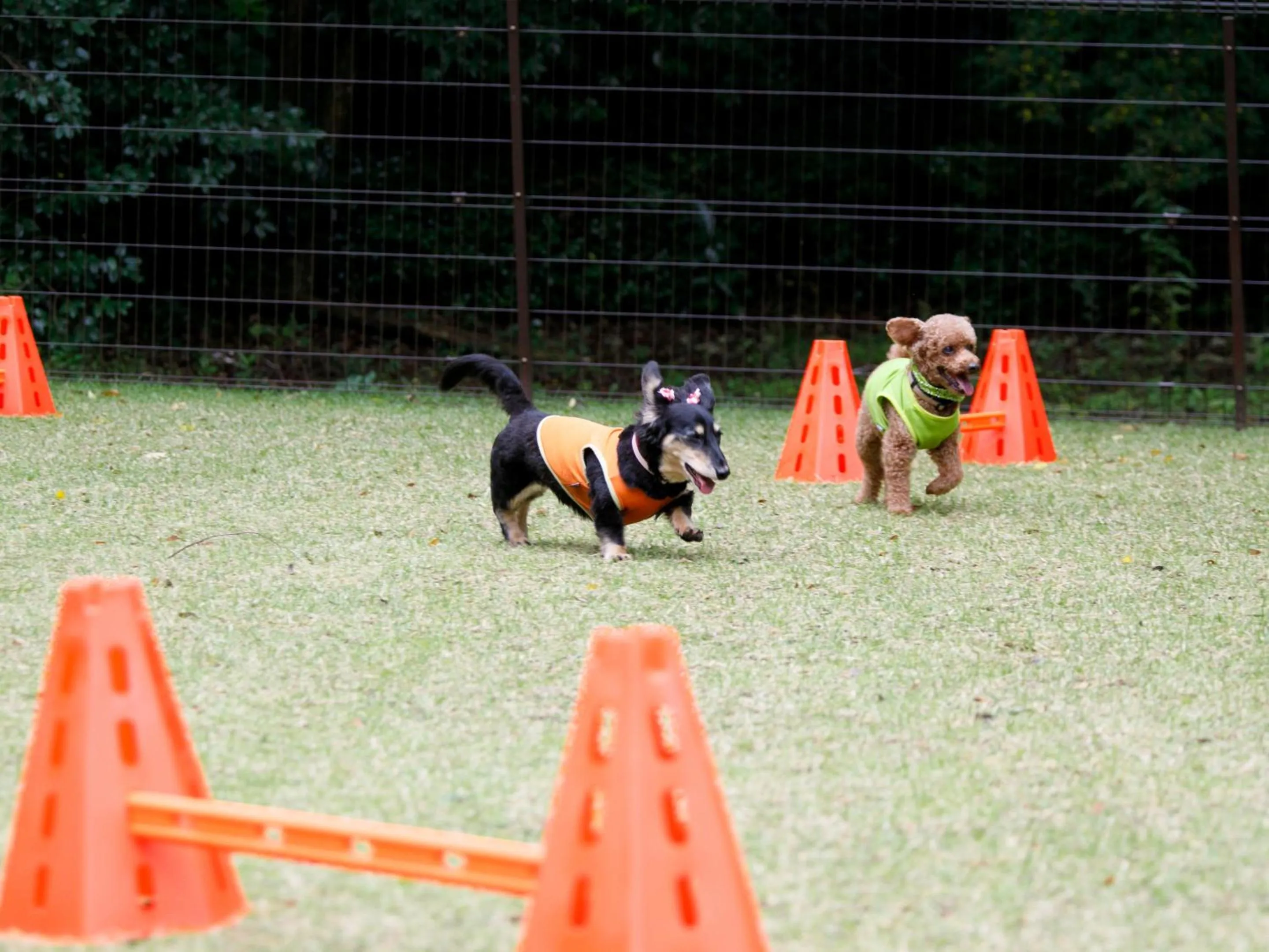 Area and facilities in Okura Akademia Park Hotel