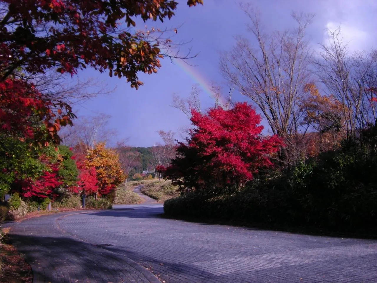 Property building in Okura Akademia Park Hotel