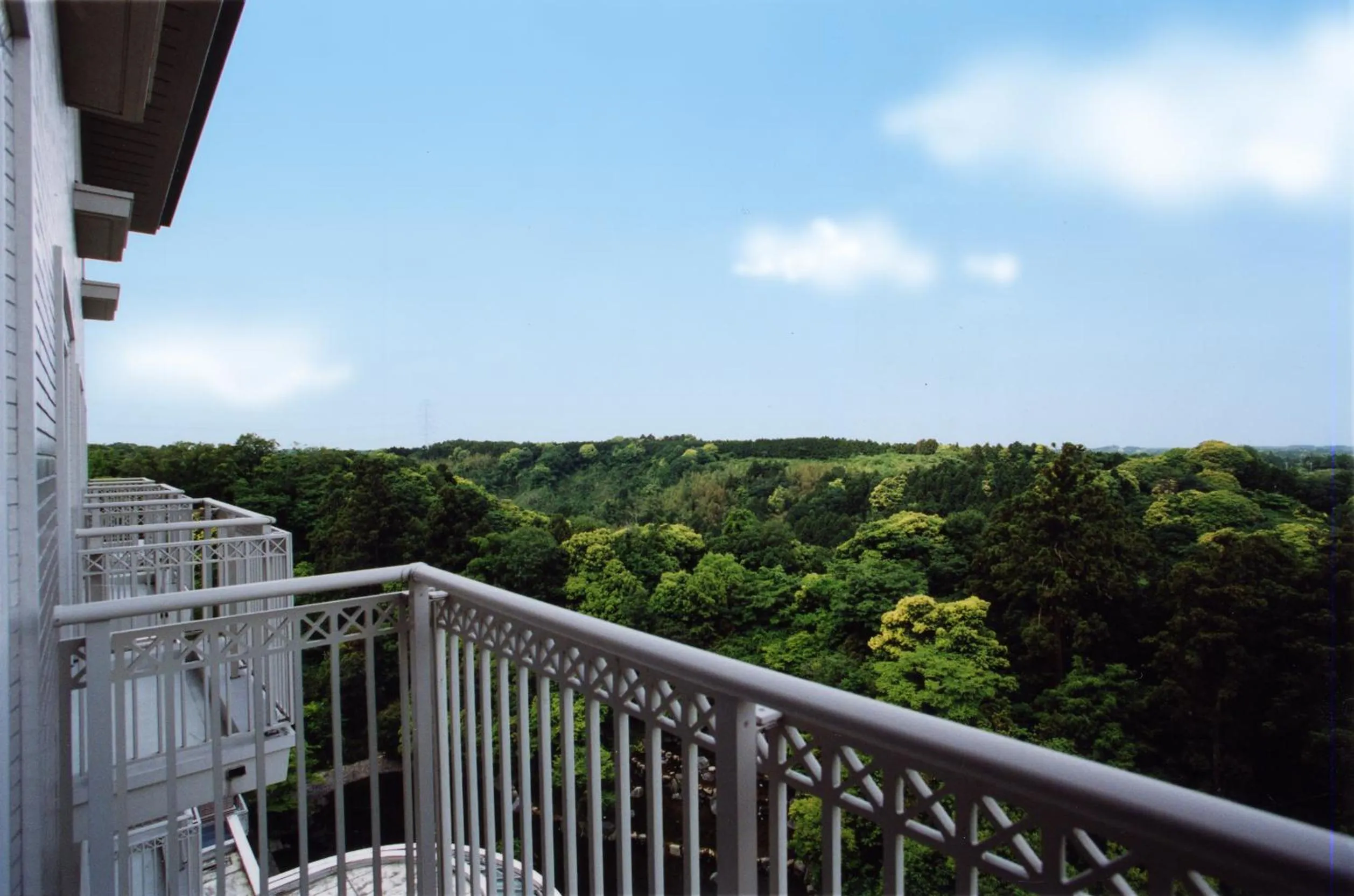 Mountain view in Okura Akademia Park Hotel