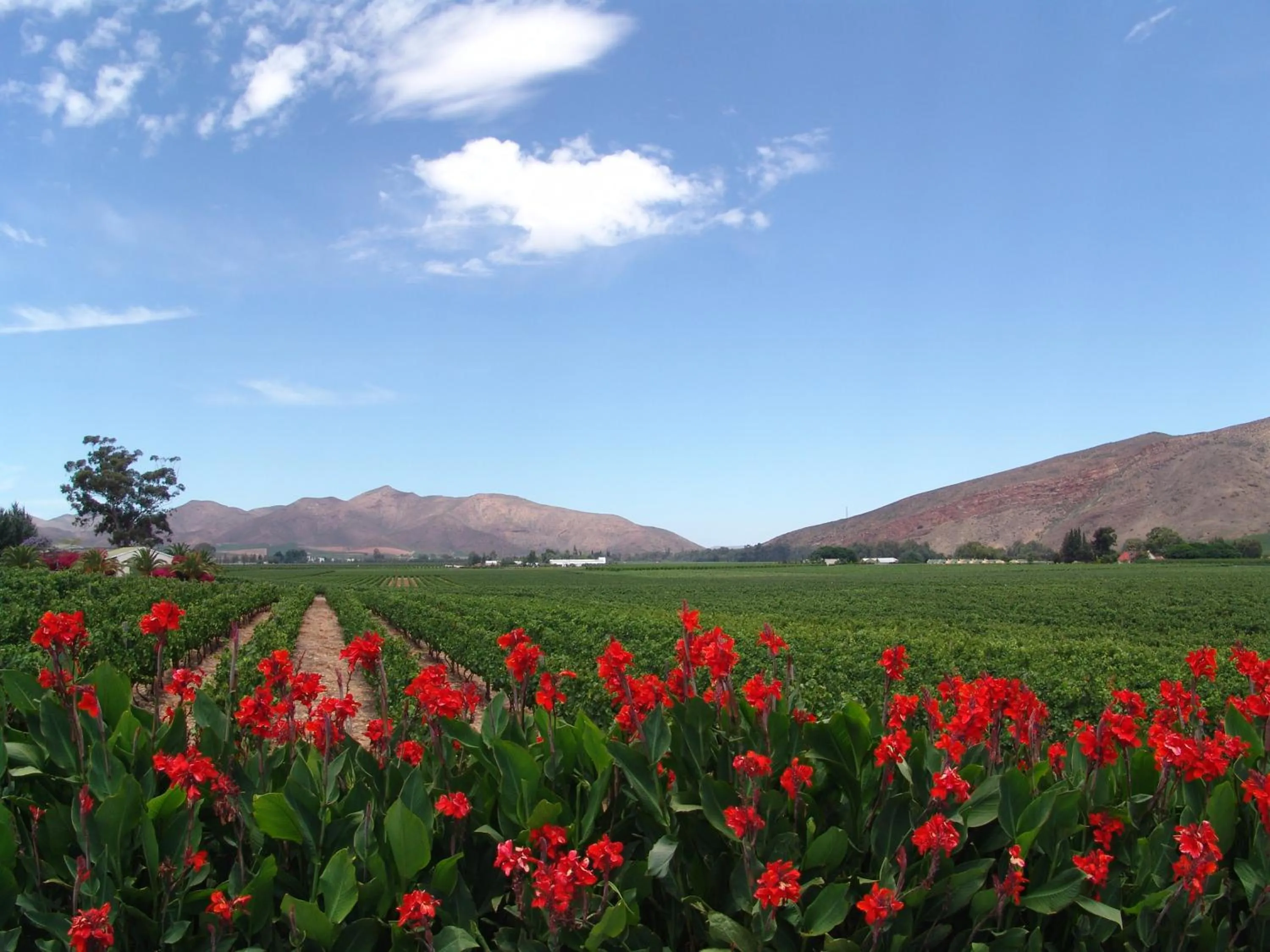 Natural landscape in GuBas De Hoek meet eat sleep