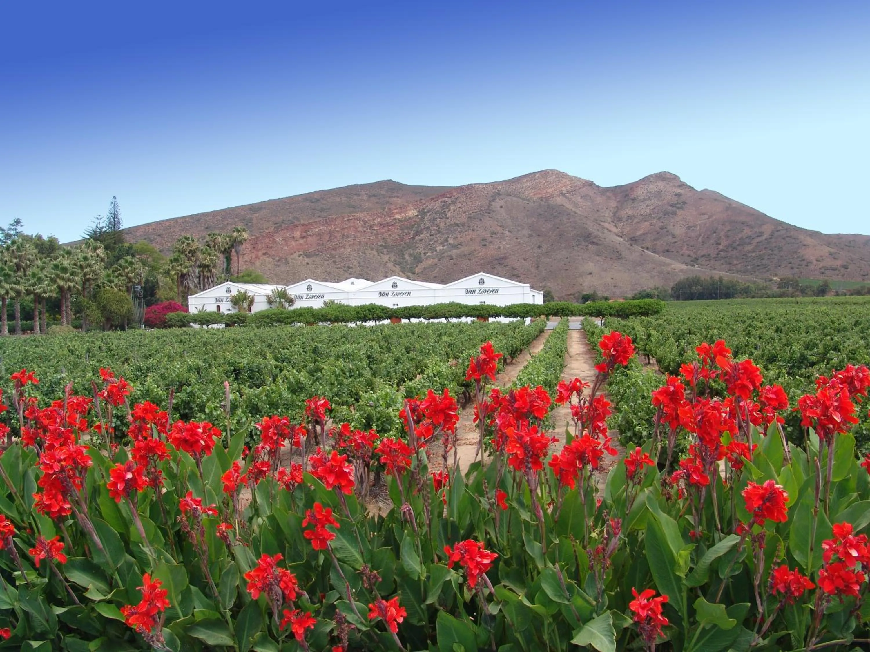 Nearby landmark in GuBas De Hoek meet eat sleep