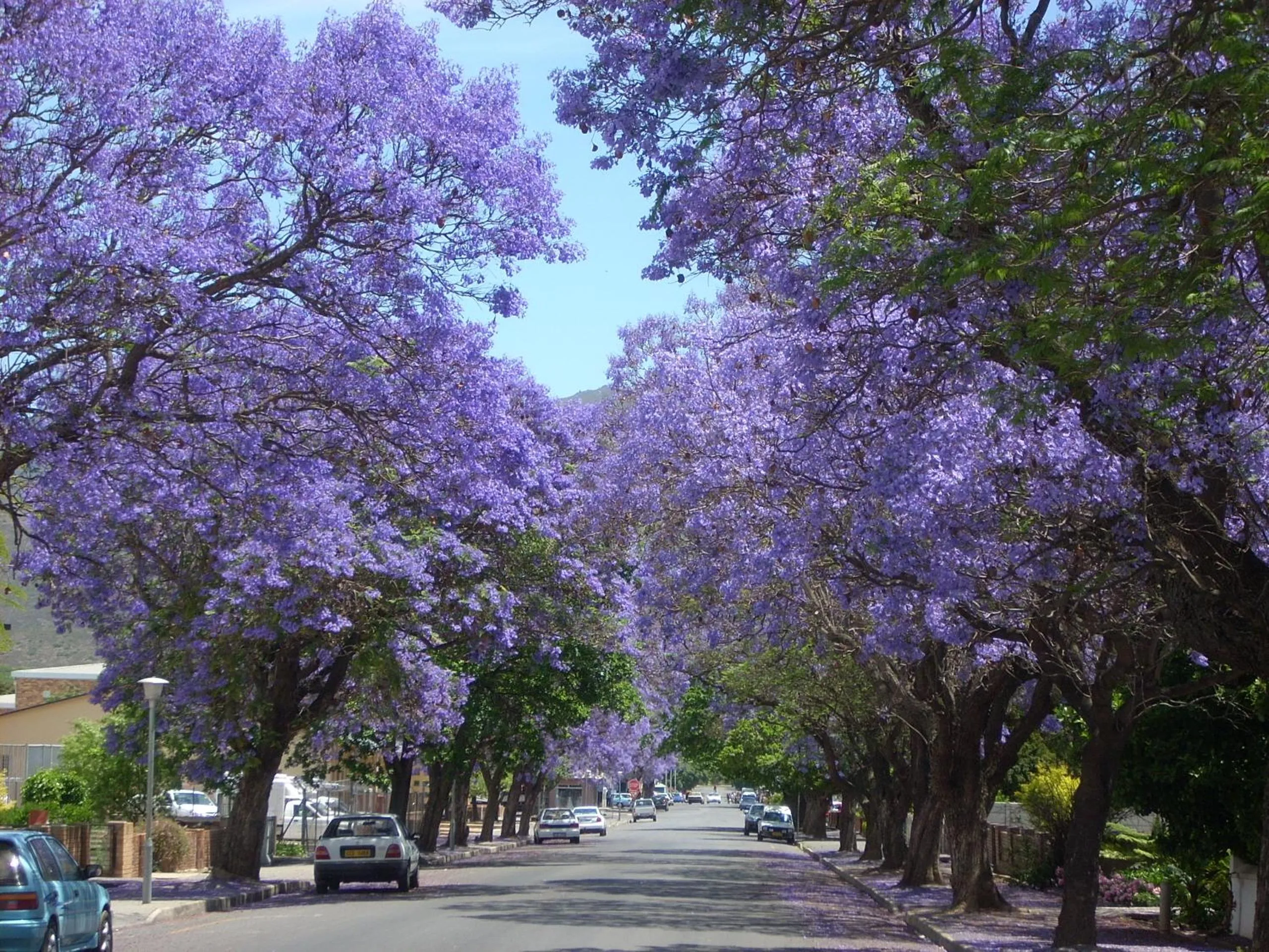 Natural landscape in GuBas De Hoek meet eat sleep