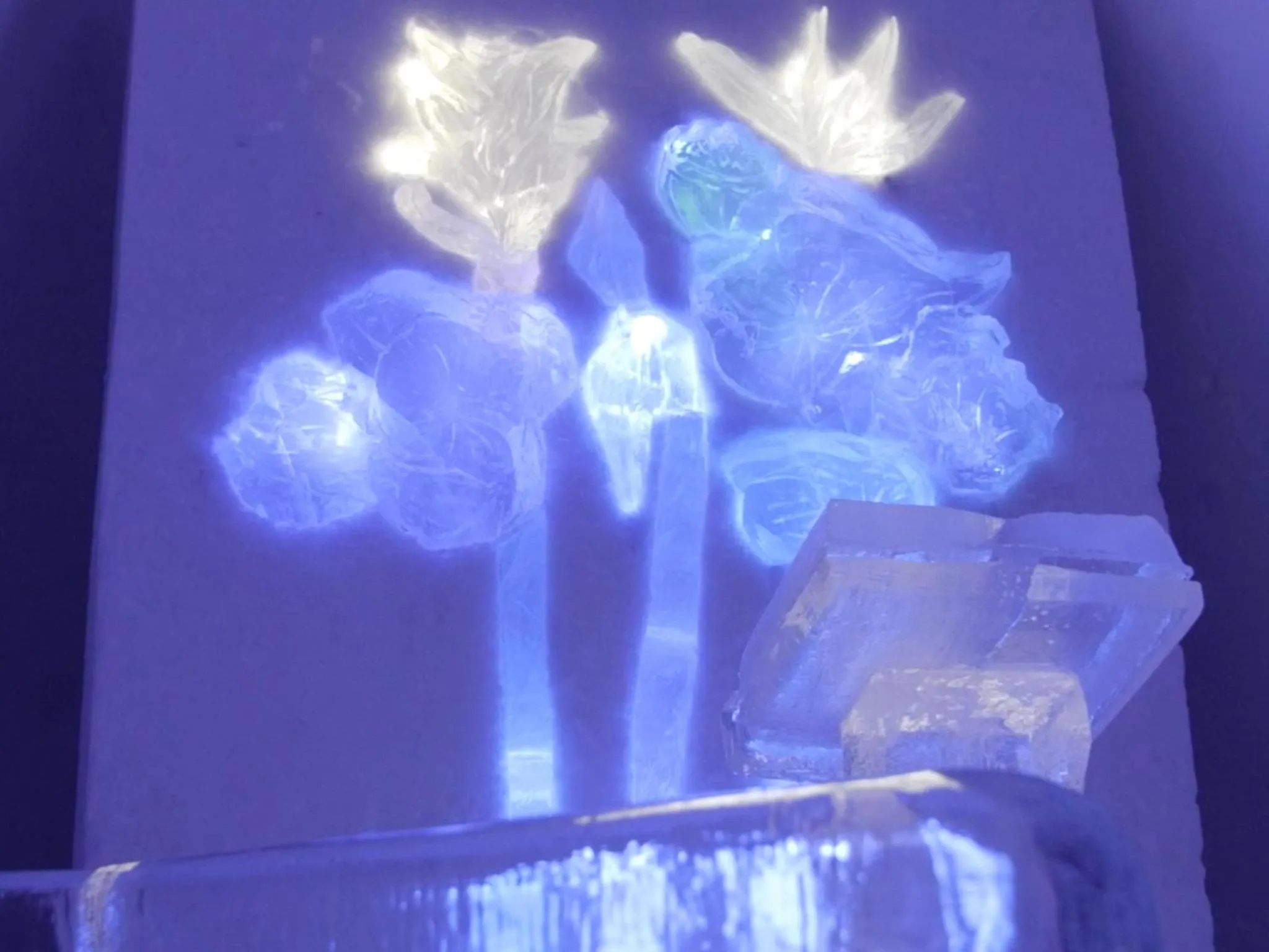 Night in Hunderfossen Snow Hotel