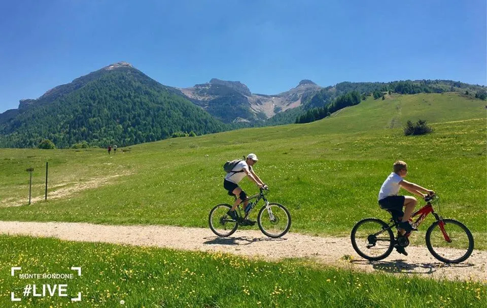 Summer in Residence Prada