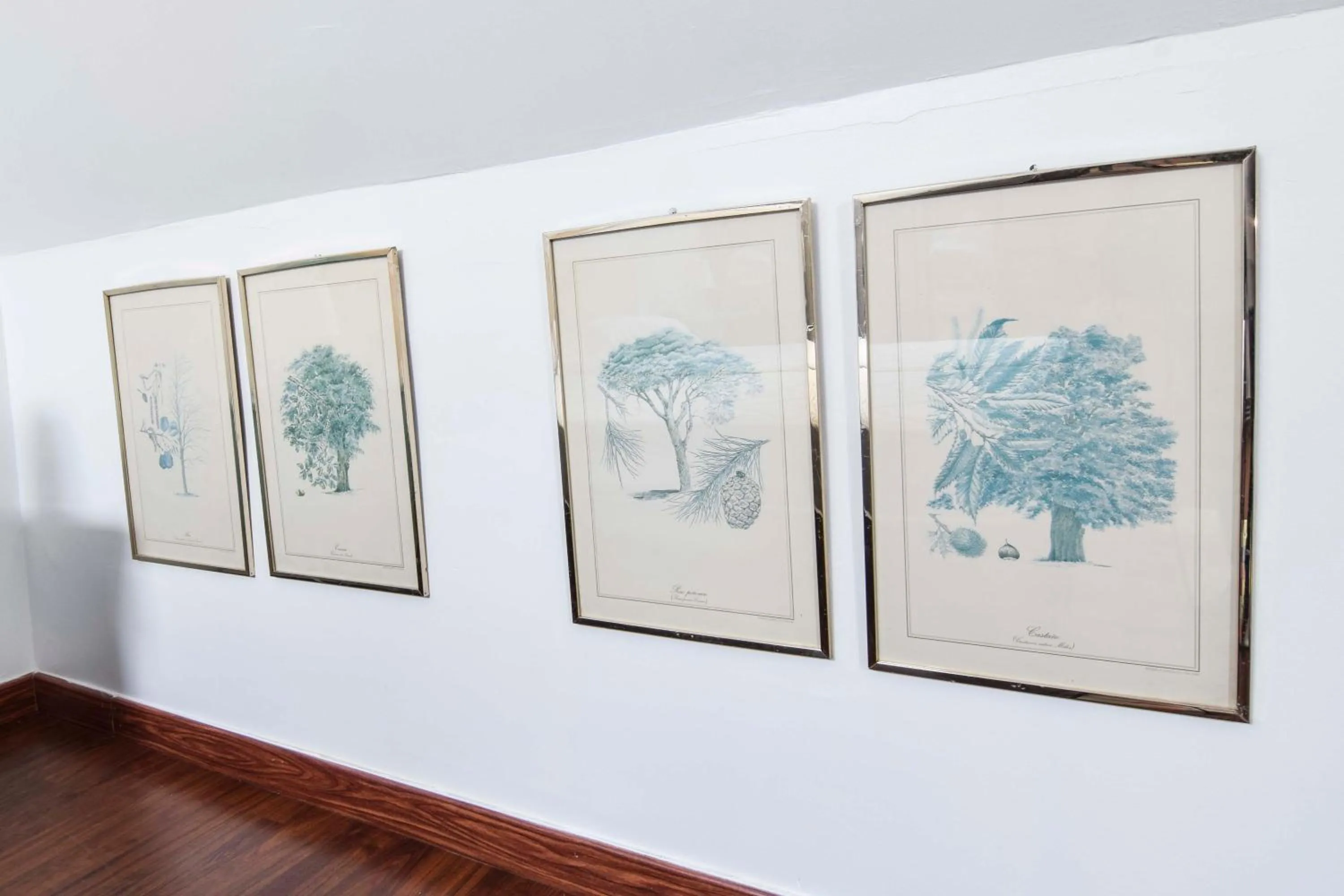 Decorative detail in Letmalaga Economy Bishop Orchard