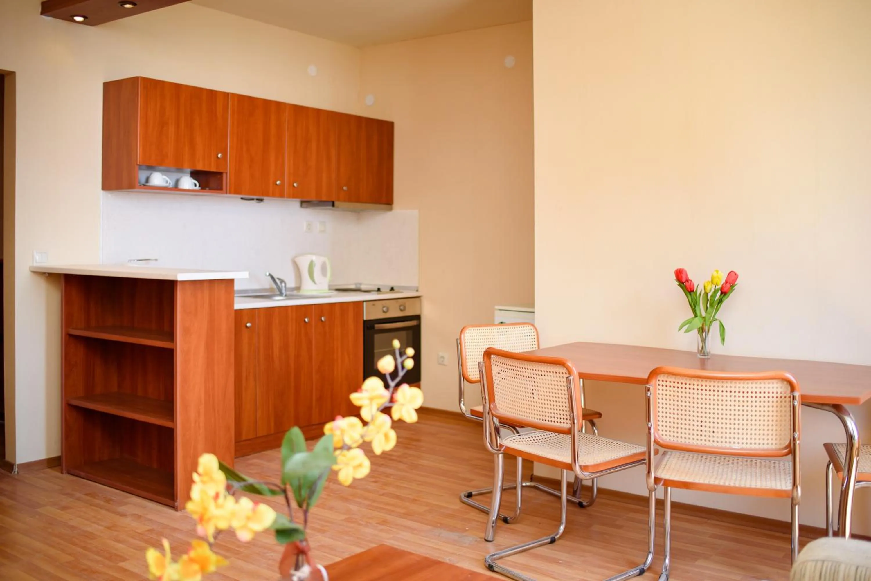 Living room in Sea View Rental Iglika Apartments