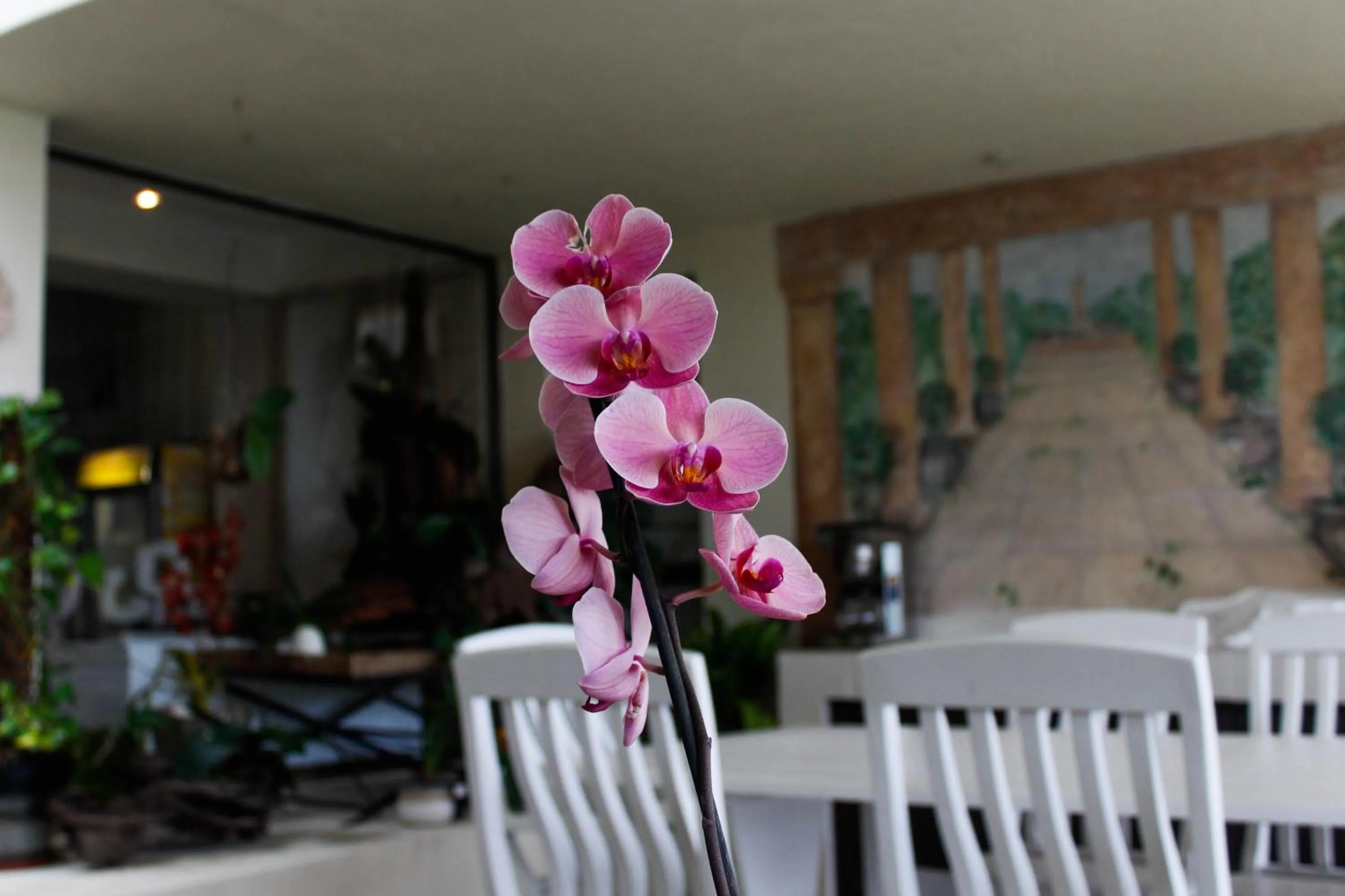 Patio in La Dolce Vita Umhlanga Guesthouse