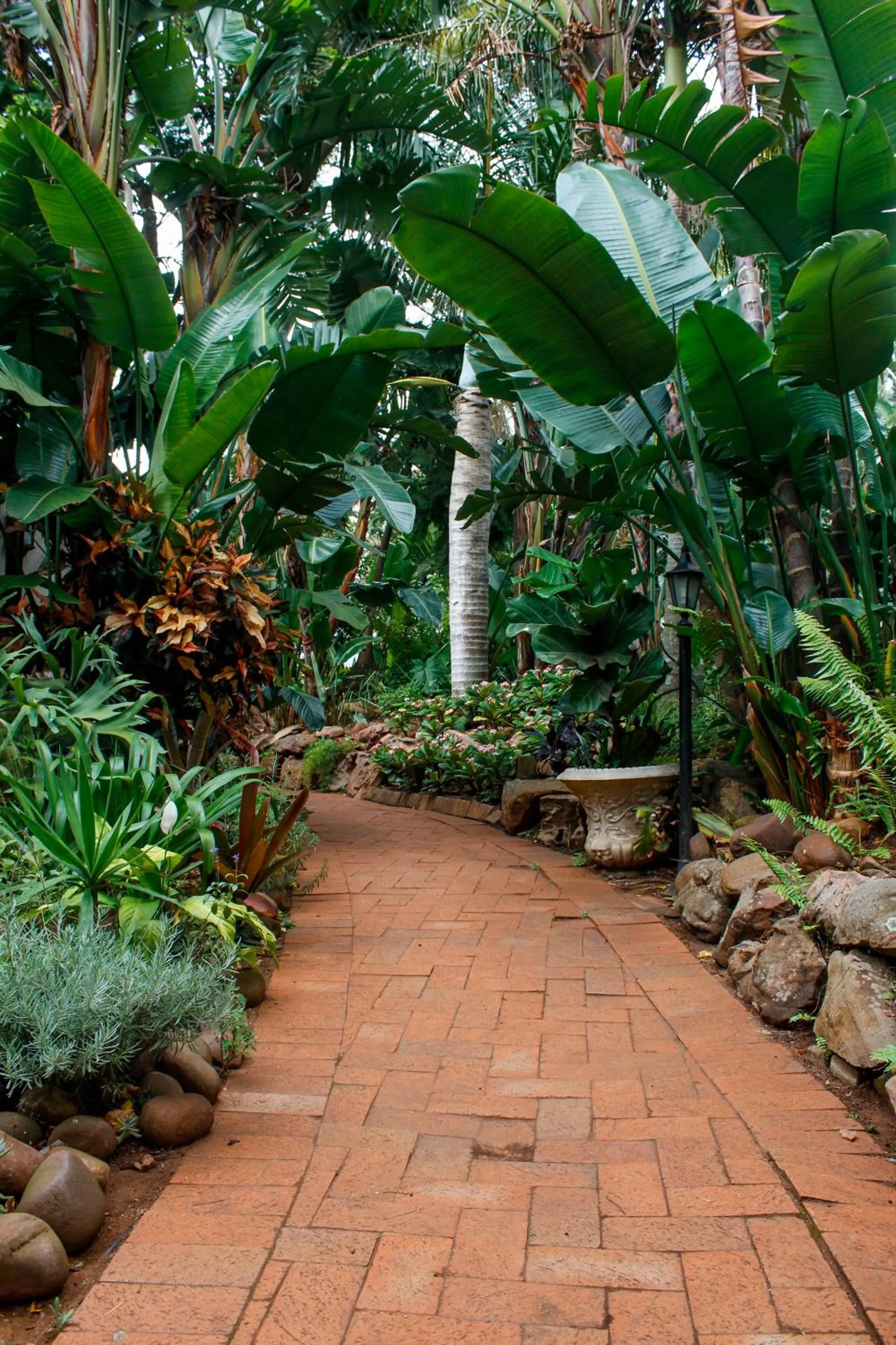 Garden view in La Dolce Vita Umhlanga Guesthouse