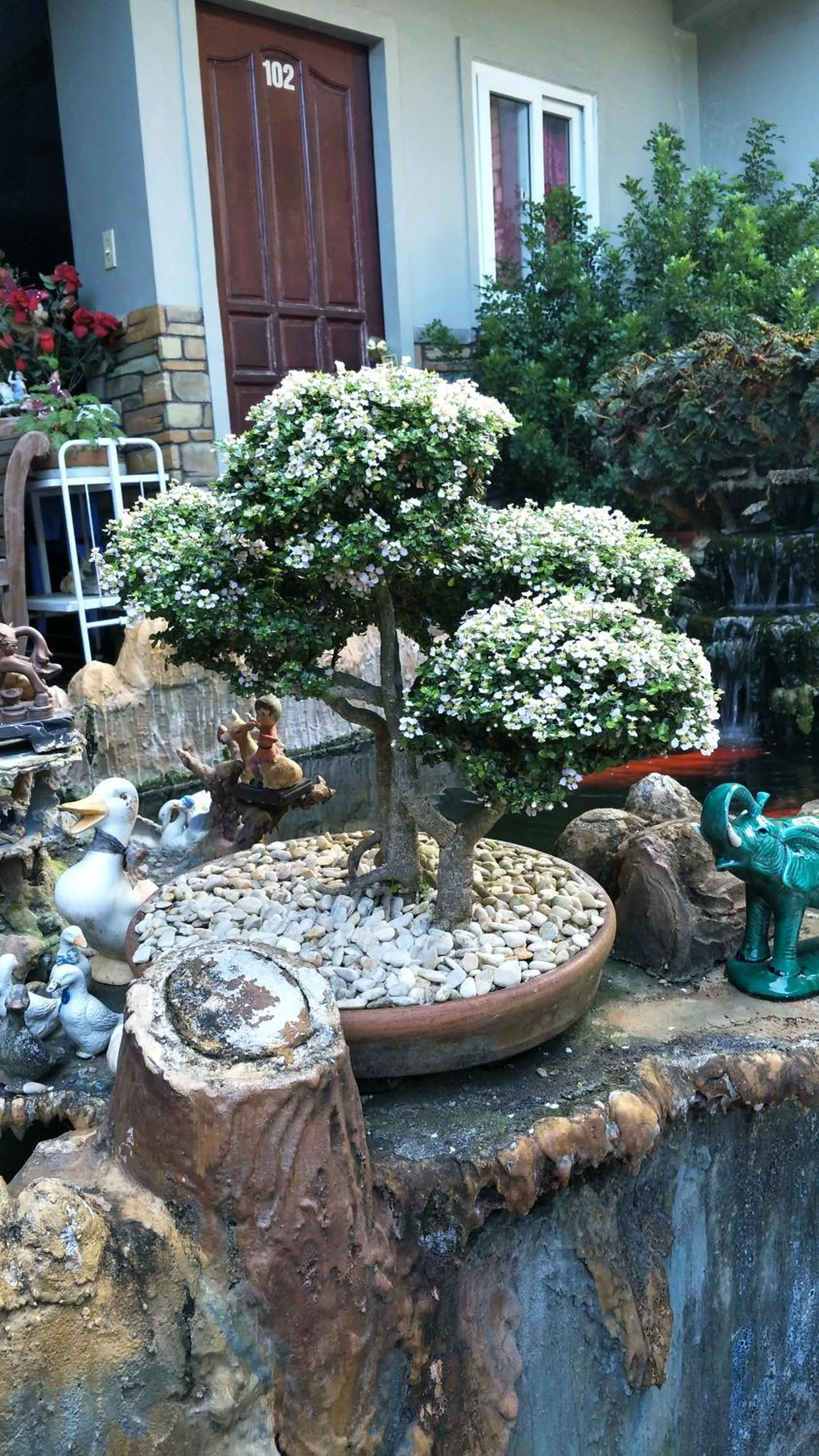 First Baby Bytes Guest House