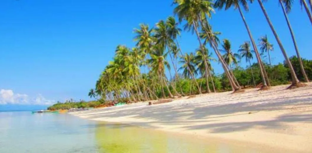 First Baby Bytes Guest House