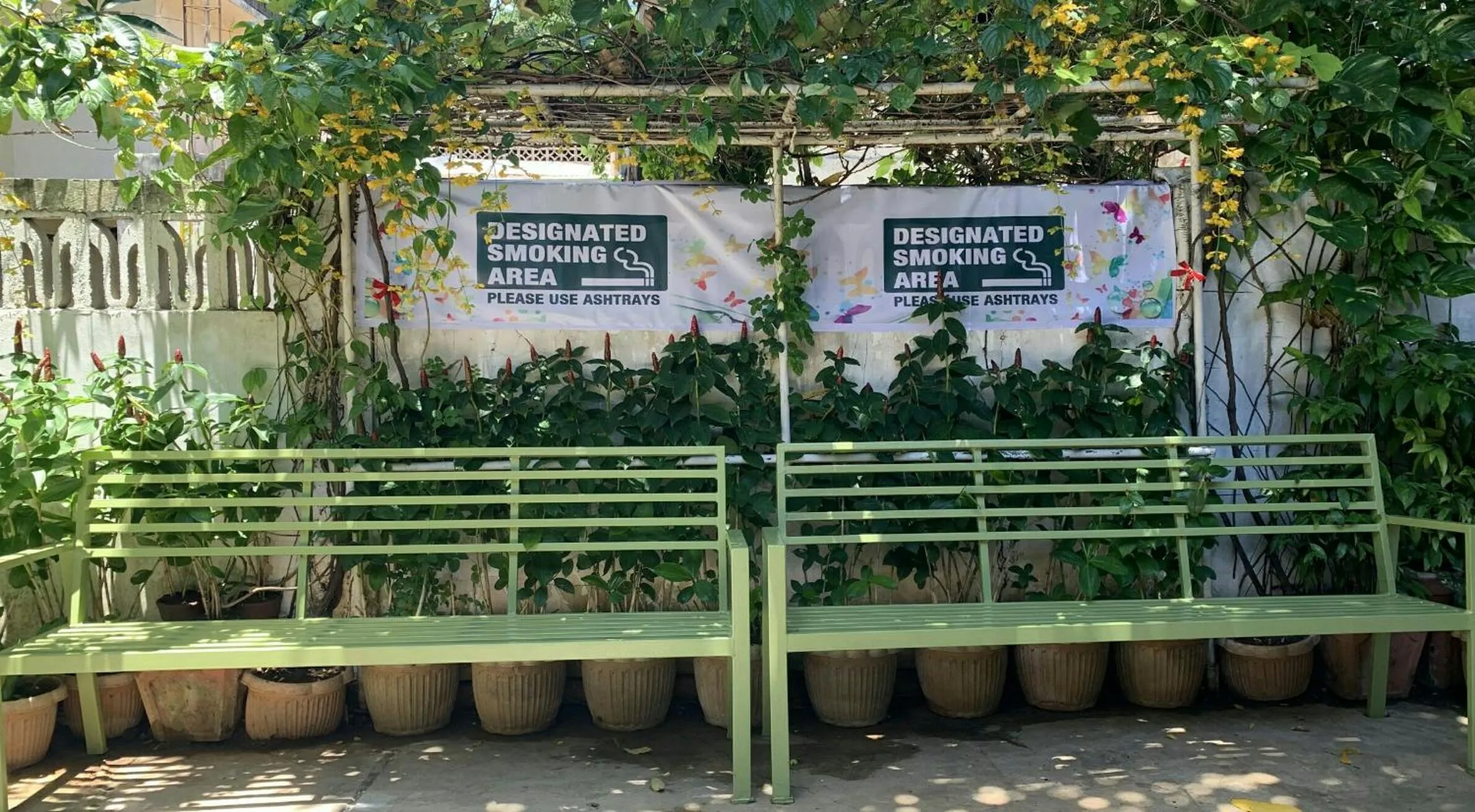 First Baby Bytes Guest House