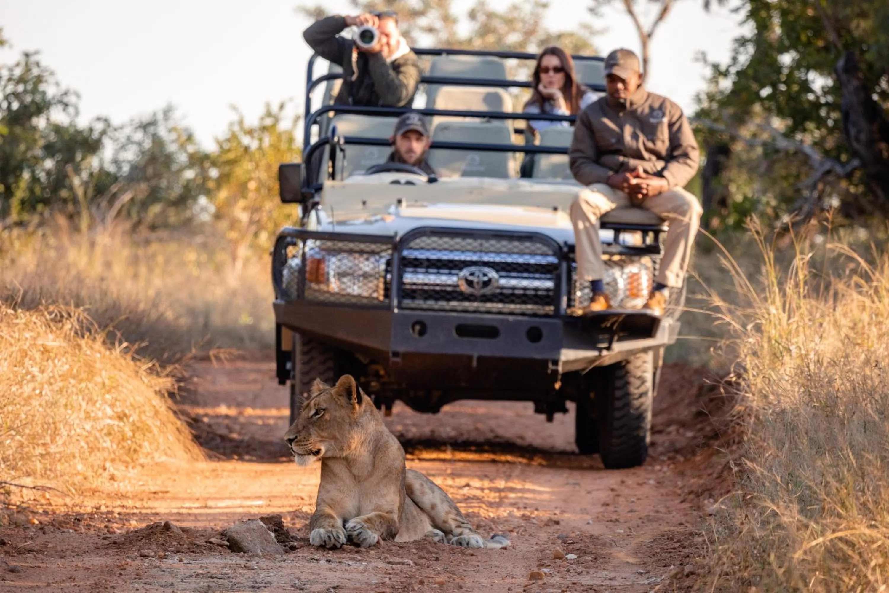 Activities in Kapama Southern Camp
