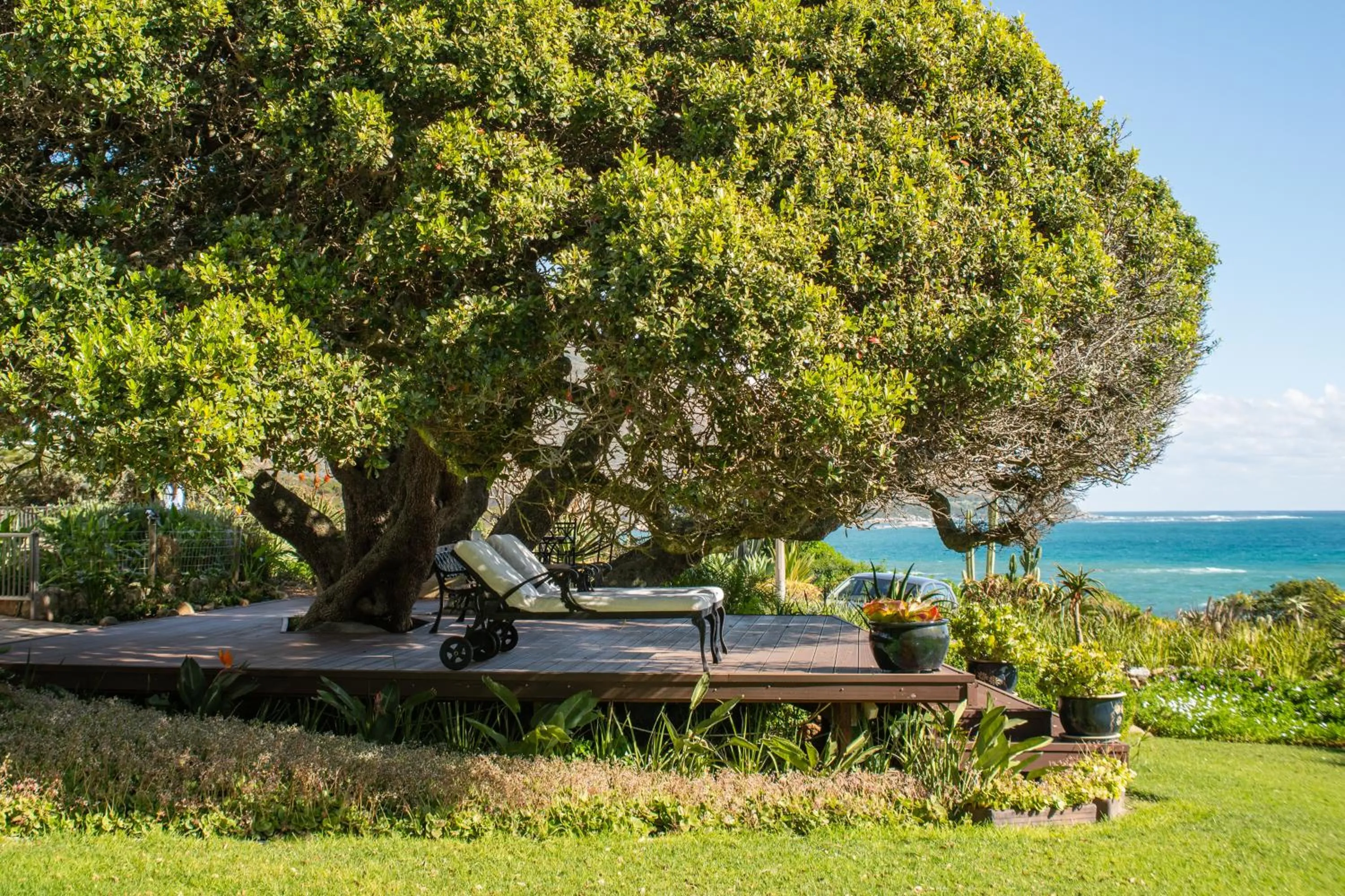 Garden in Ocean View House