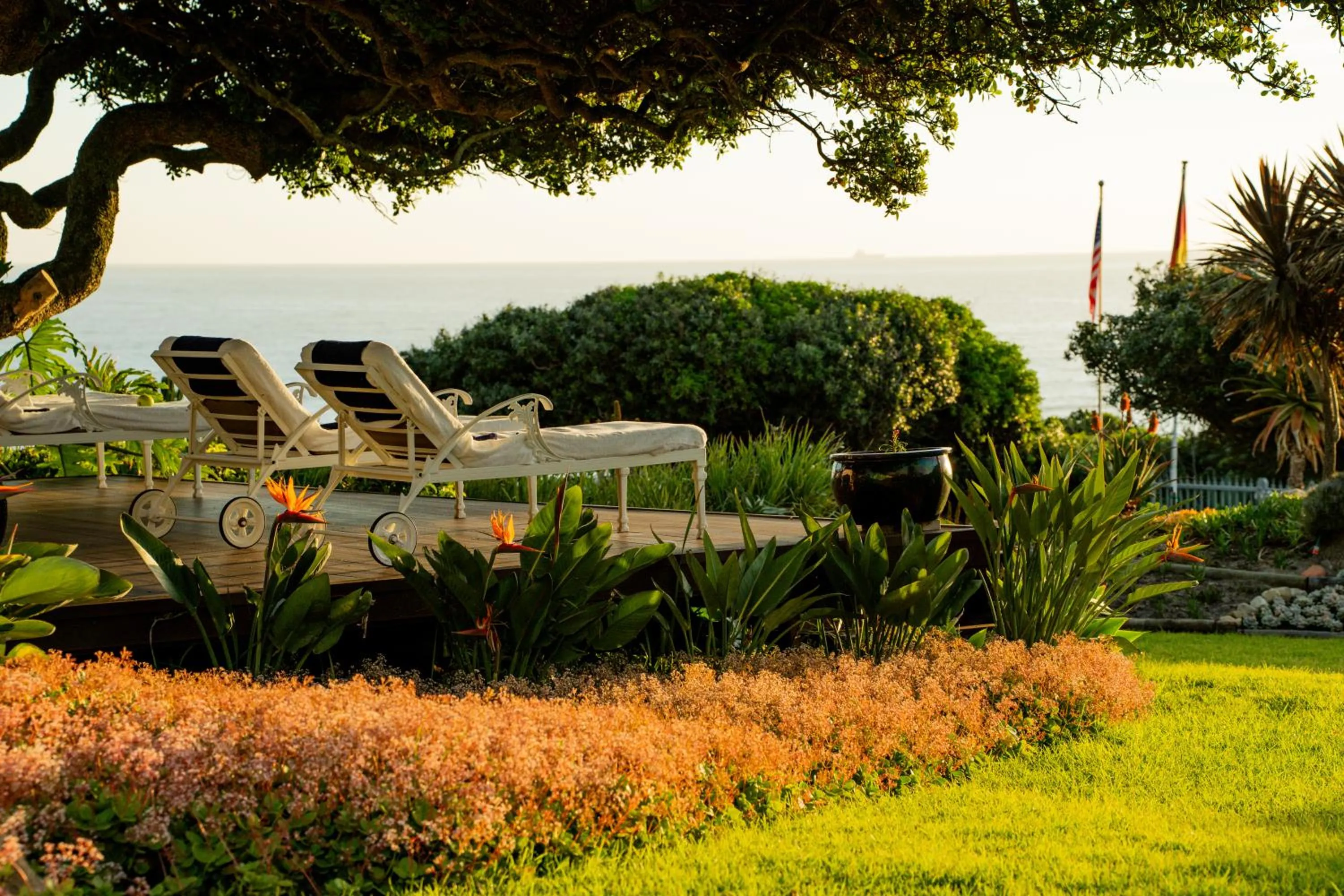 Garden in Ocean View House