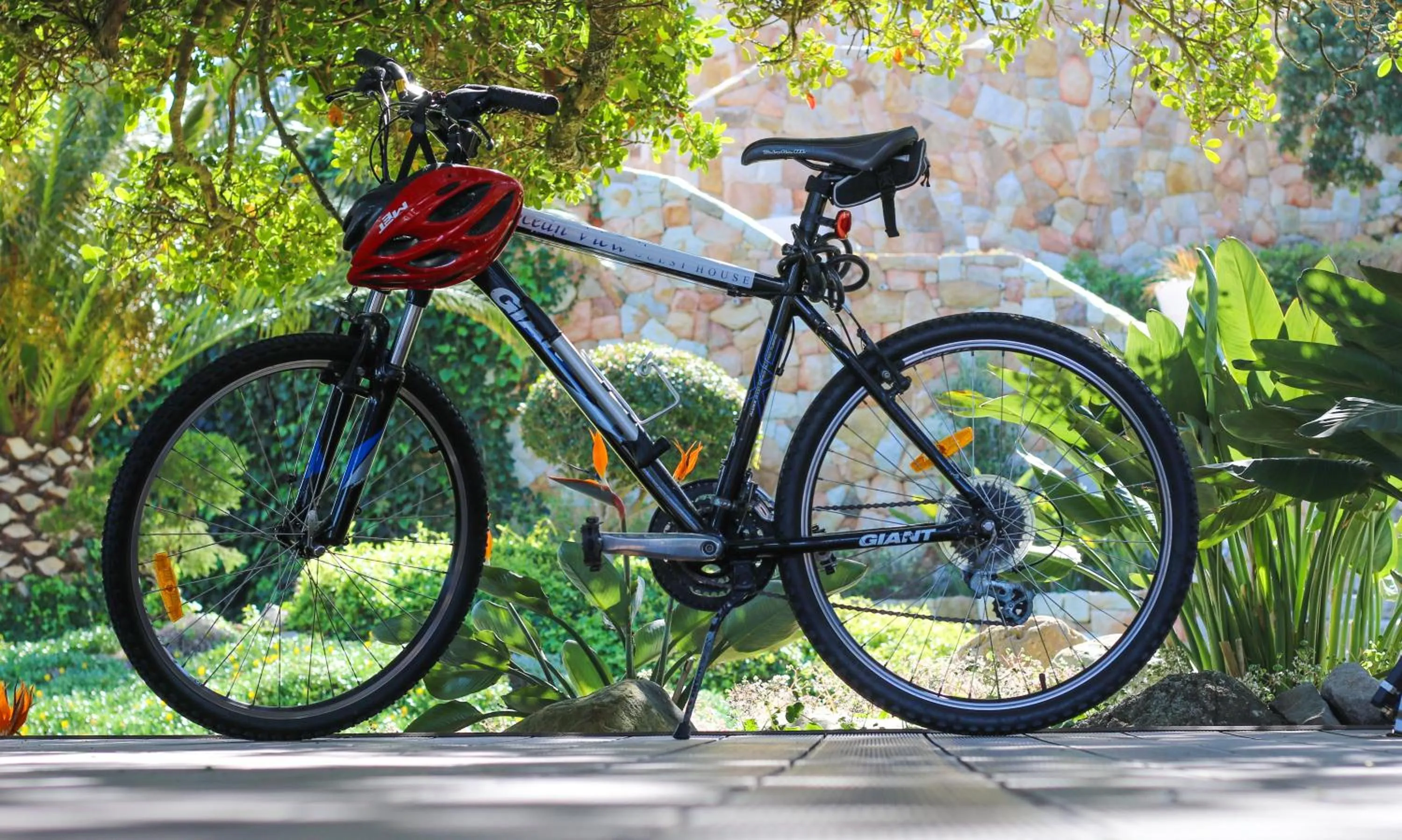 Garden in Ocean View House
