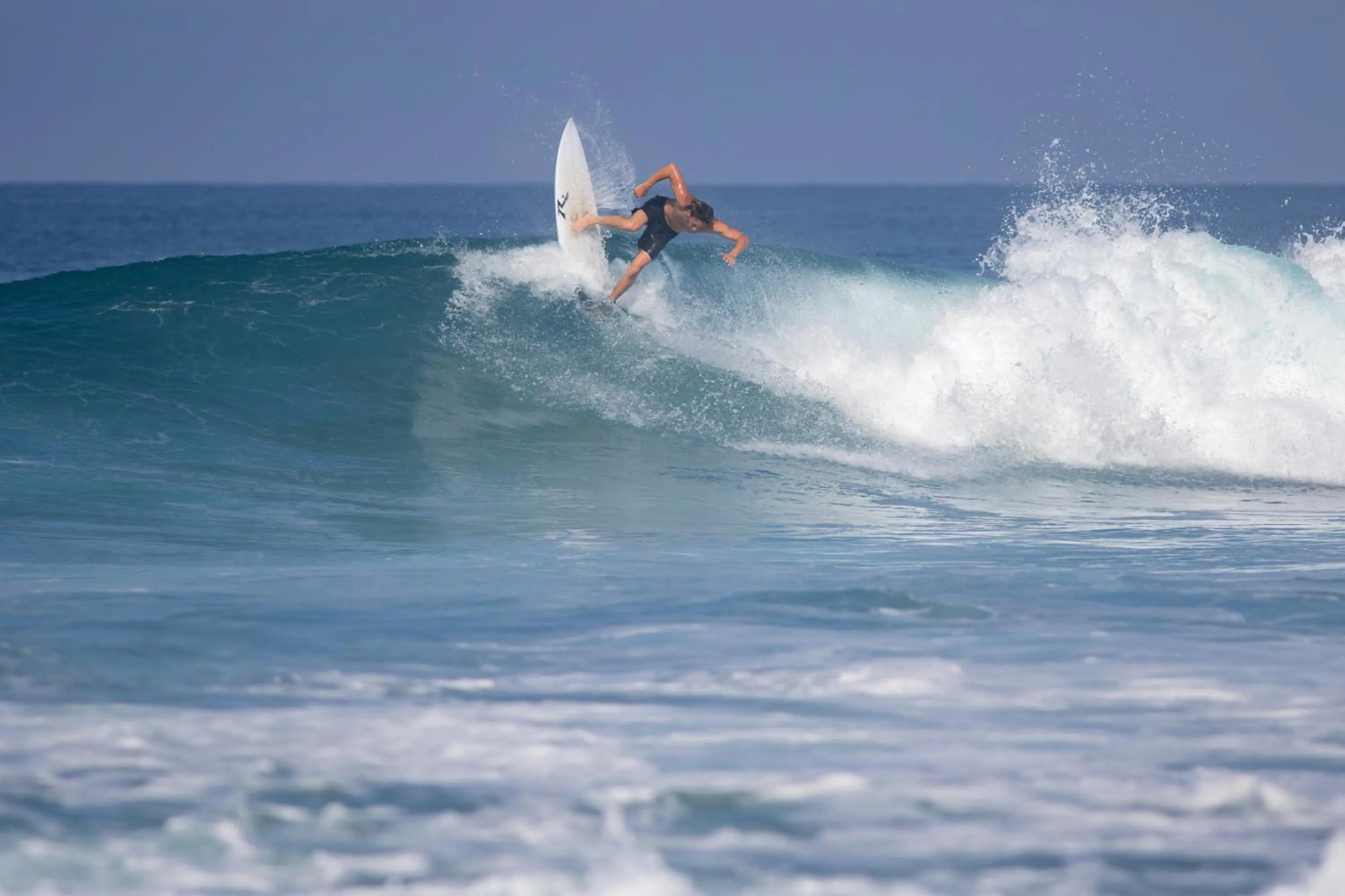 Activities in Hotel Playa Negra