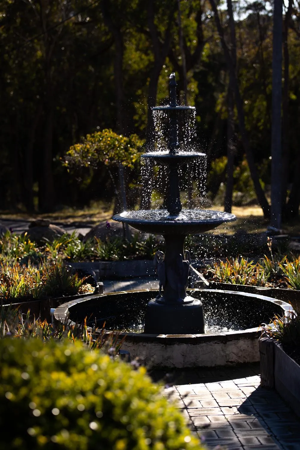 Natural landscape in Girraween Country Inn