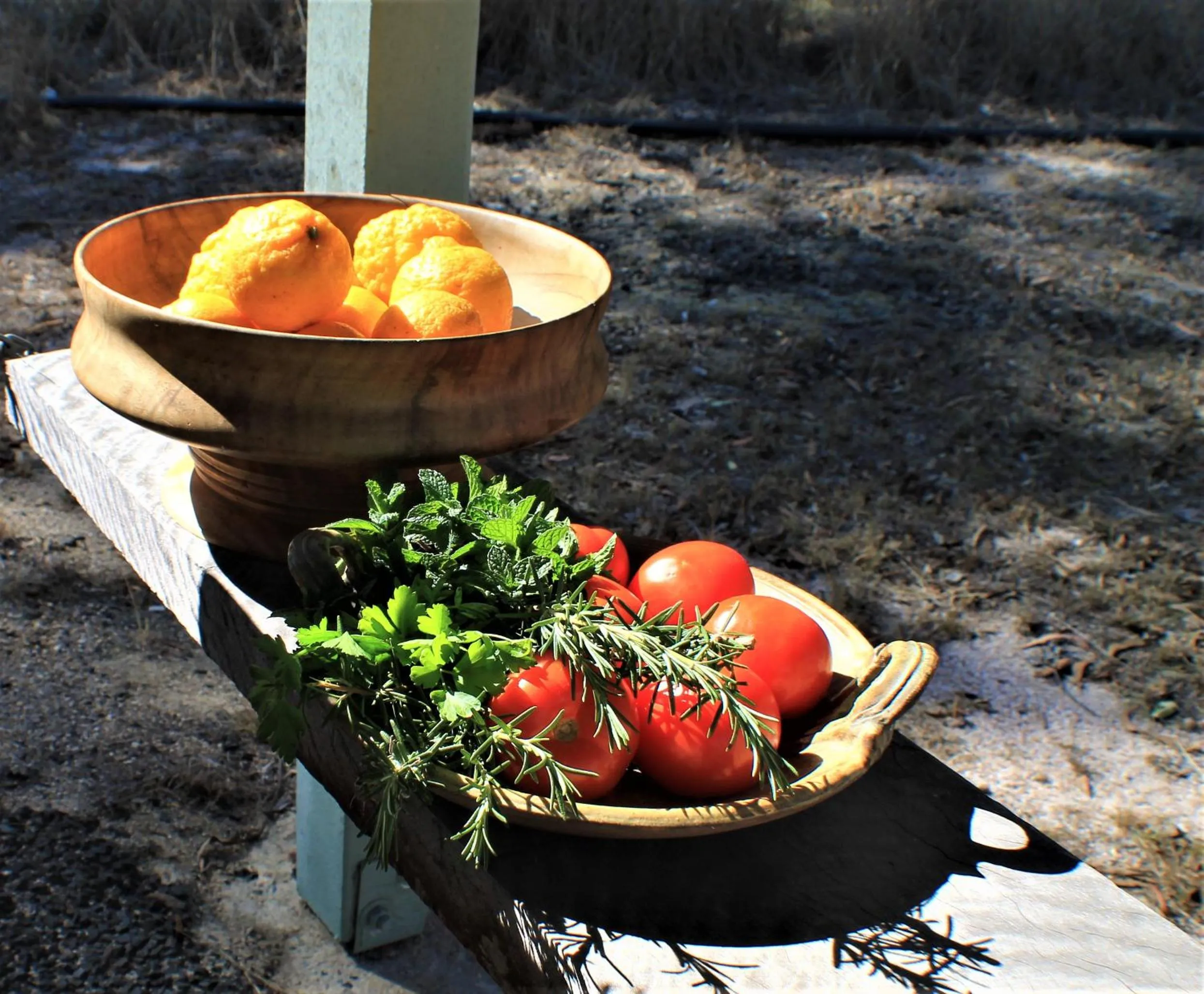 BBQ facilities in Girraween Country Inn
