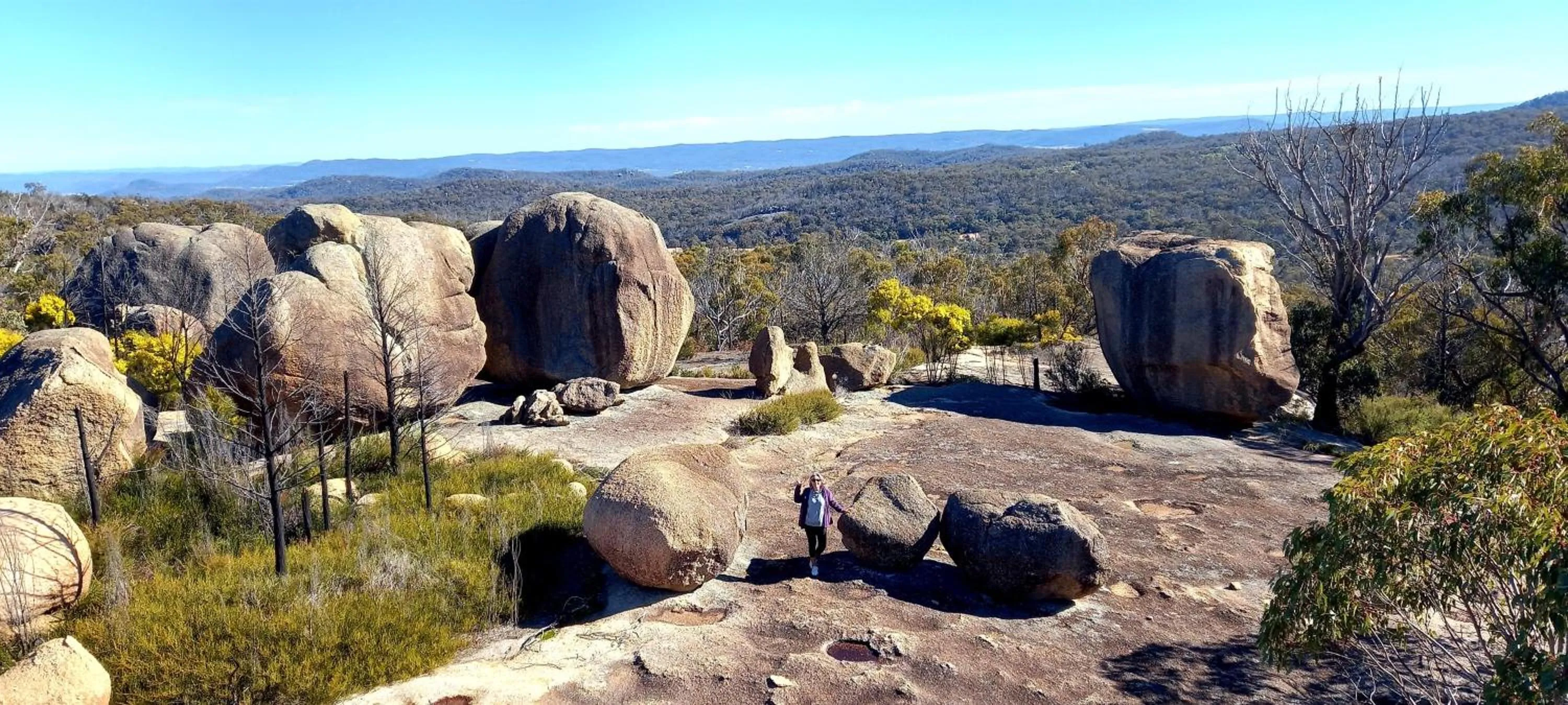 View (from property/room) in Girraween Country Inn