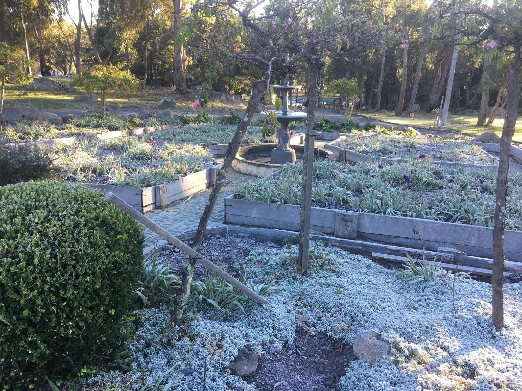 Winter in Girraween Country Inn