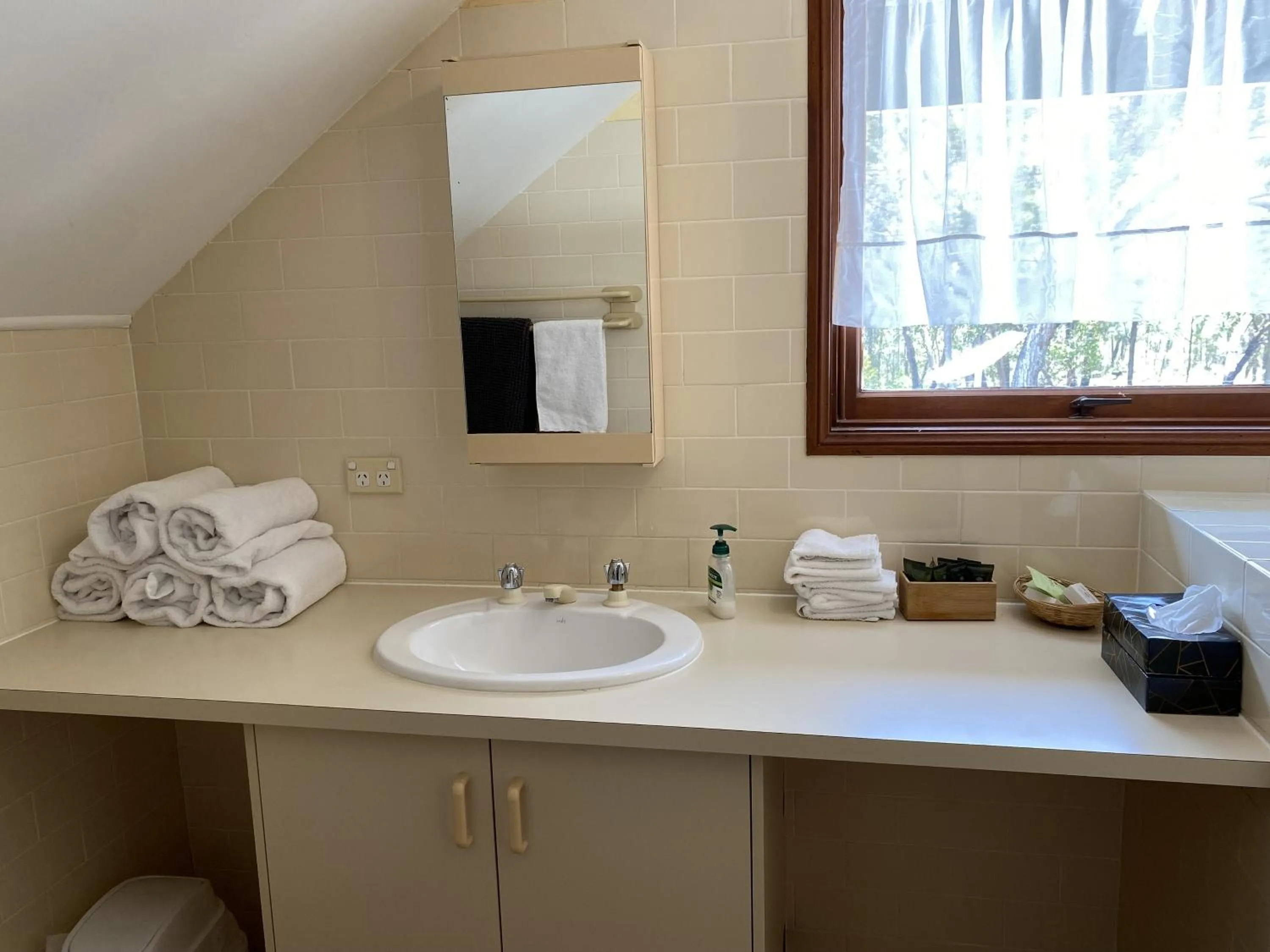 Bathroom in Girraween Country Inn