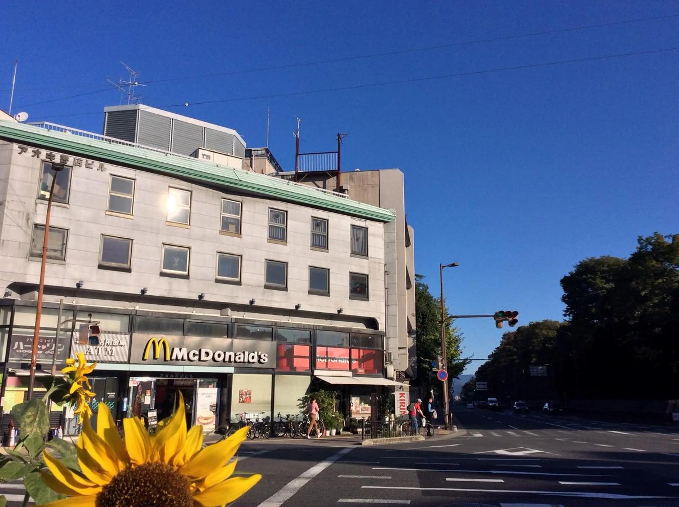 Property building in CHELSEA24