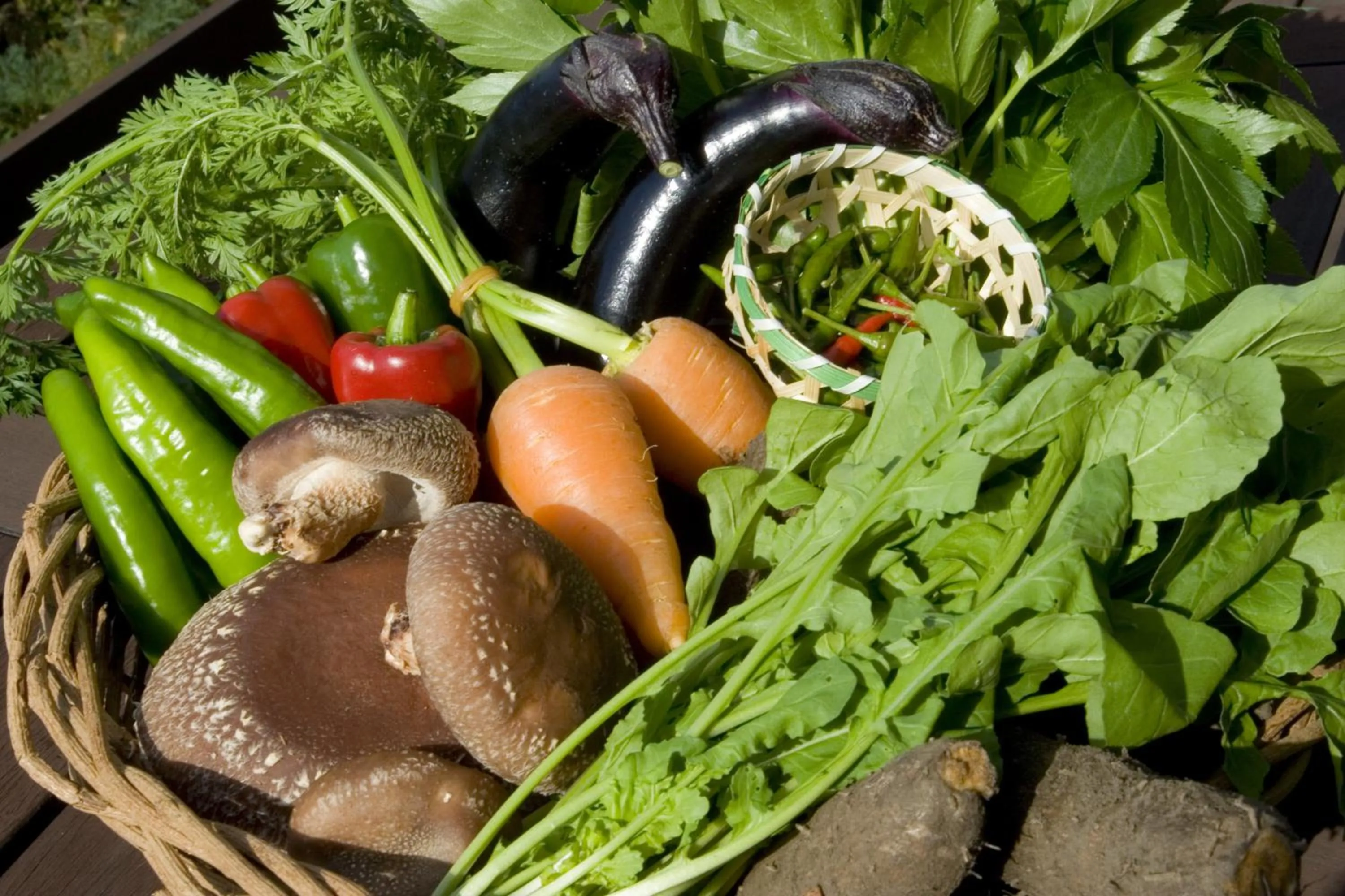 Food in Mashio Hotel & Resort