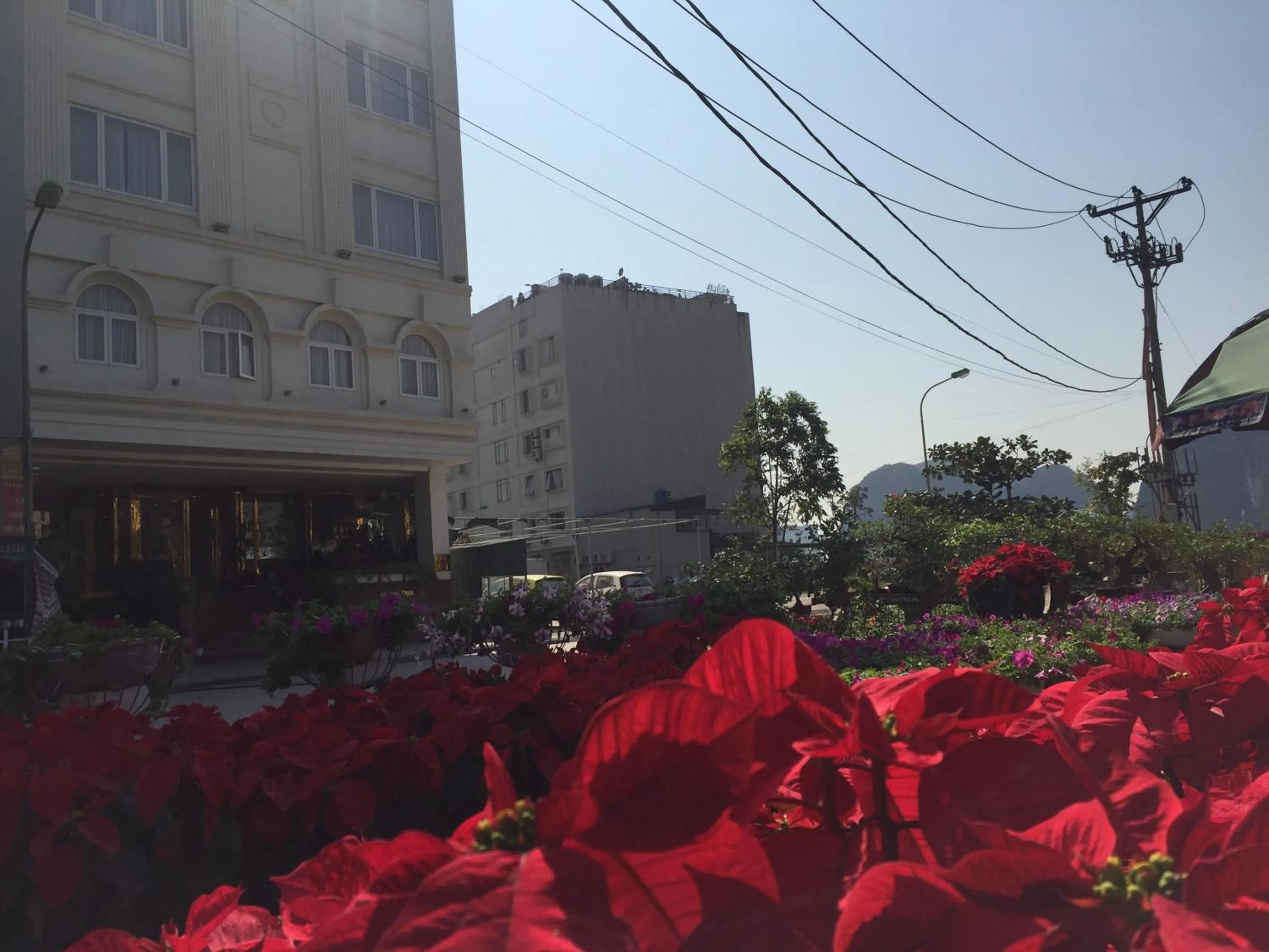 Facade/entrance in Ha Long Park Hotel