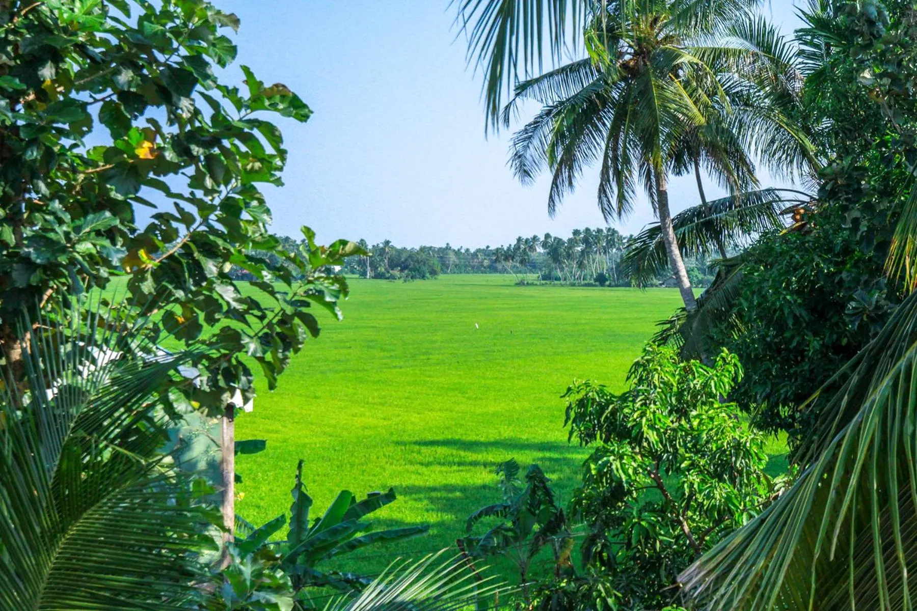Natural landscape in Hotel Nilketha Yala Tissamaharama