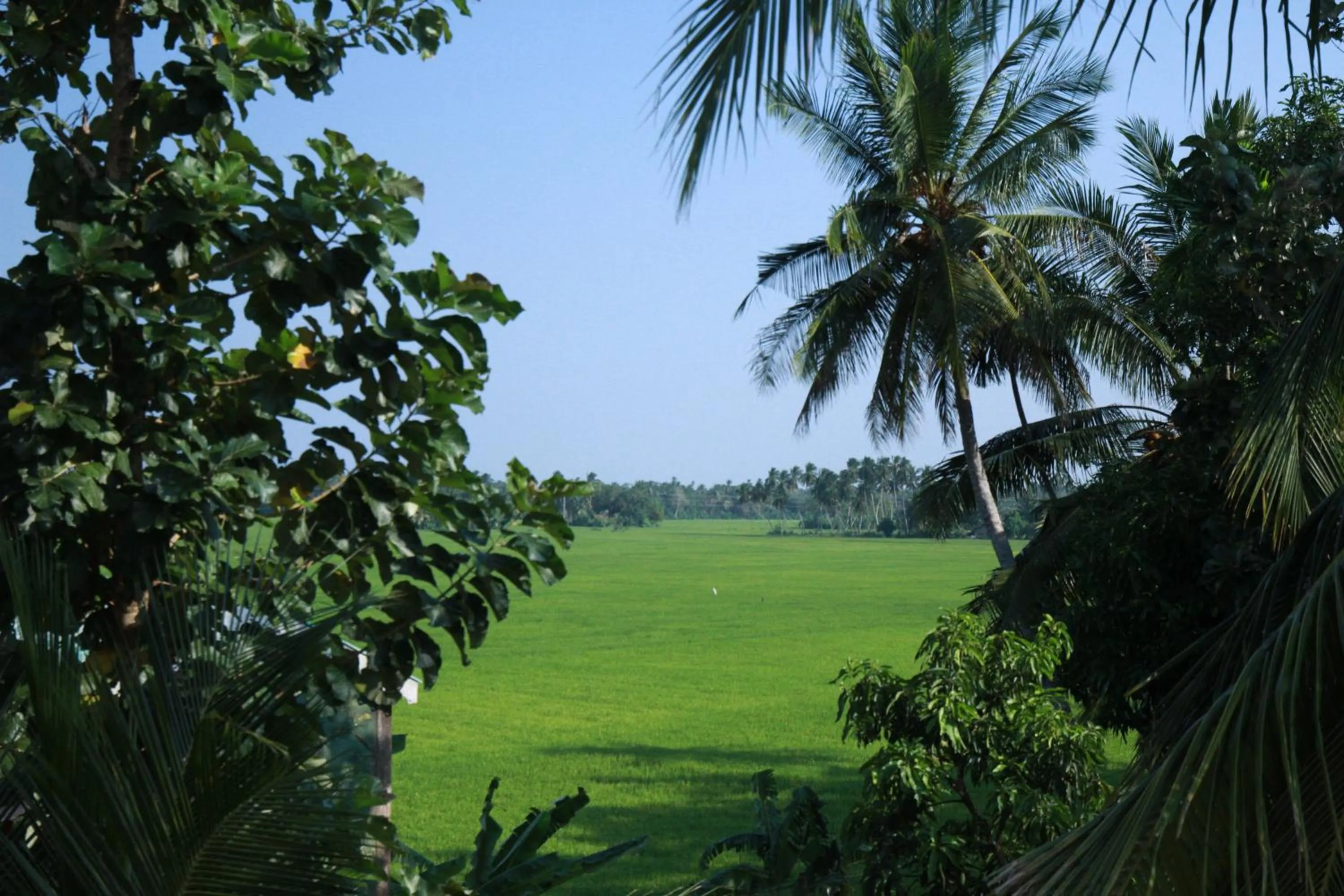 Natural landscape in Hotel Nilketha Yala Tissamaharama