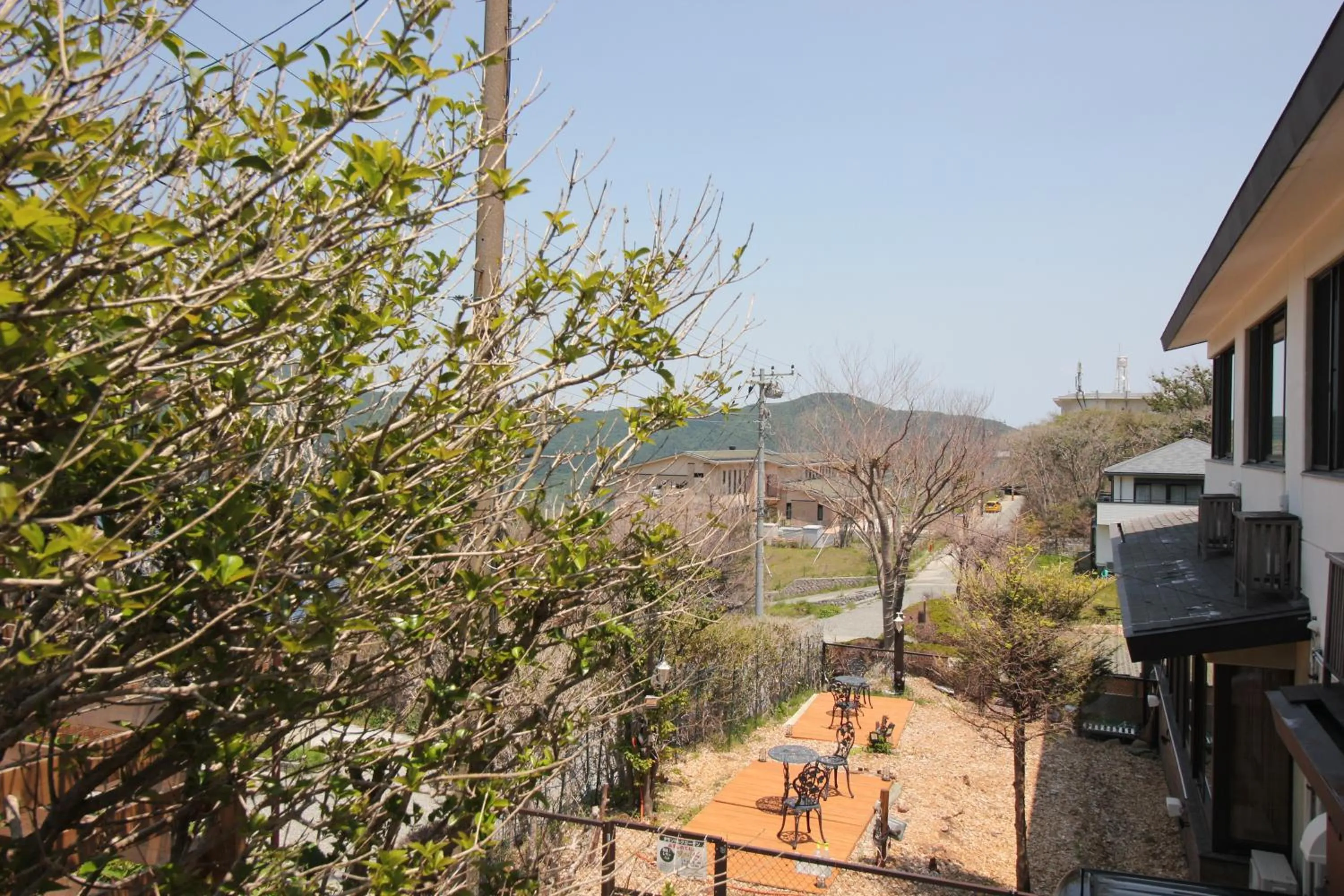 Hakone Gora Guam Dog