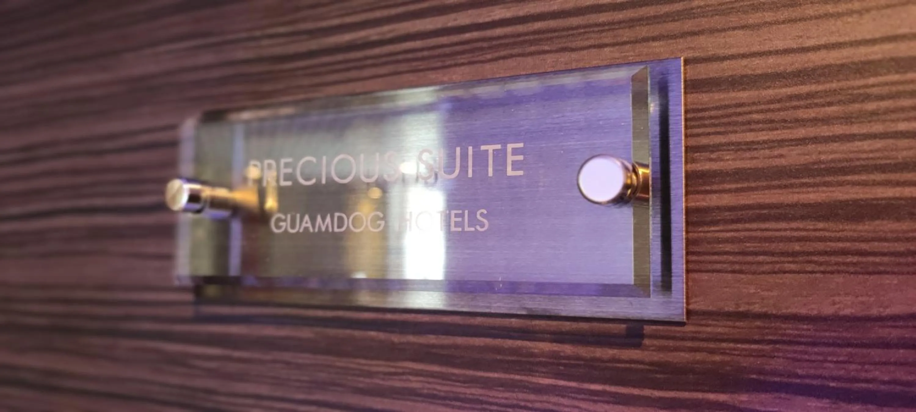 Hakone Gora Guam Dog