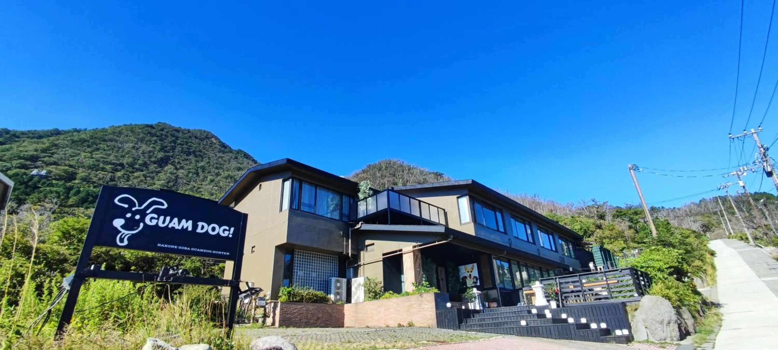 Hakone Gora Guam Dog