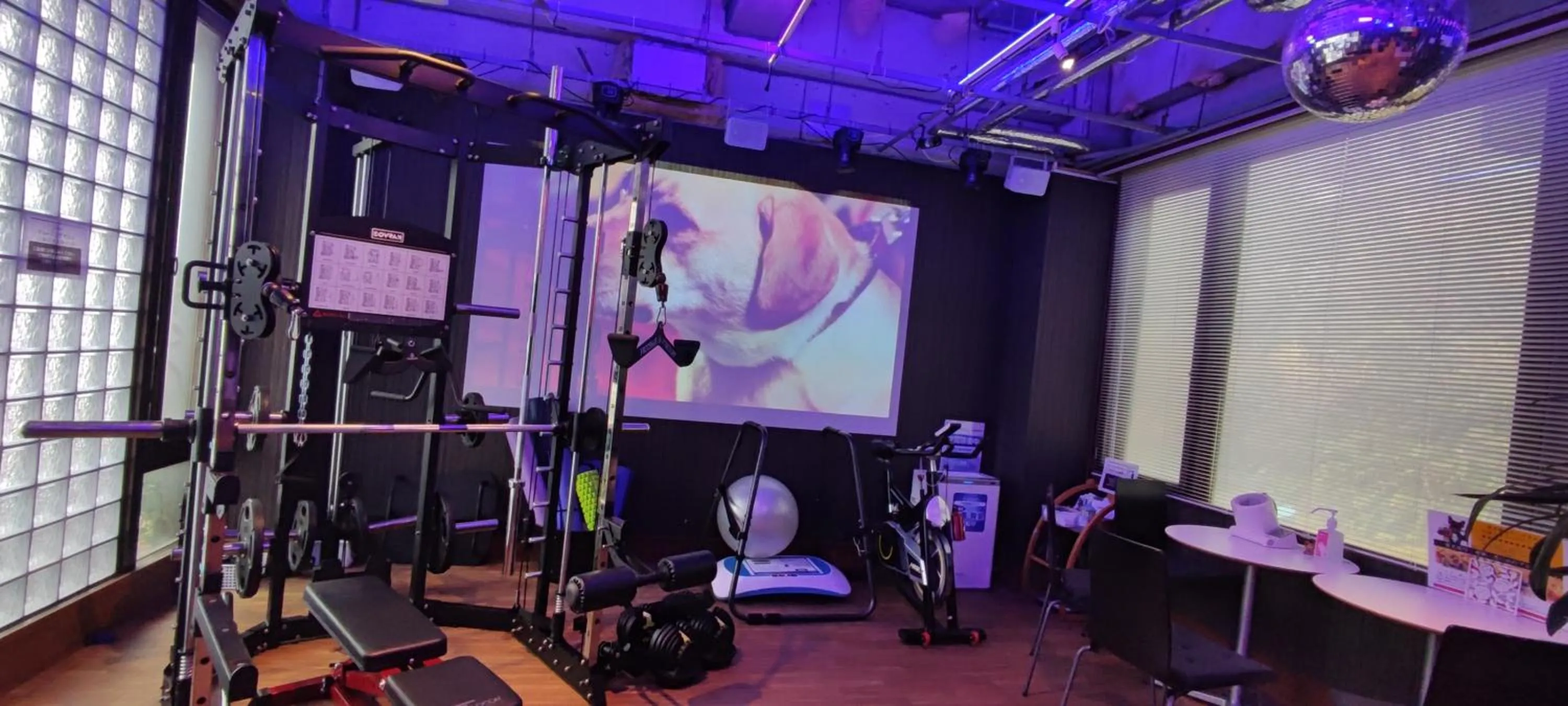 Fitness centre/facilities in Hakone Gora Guam Dog