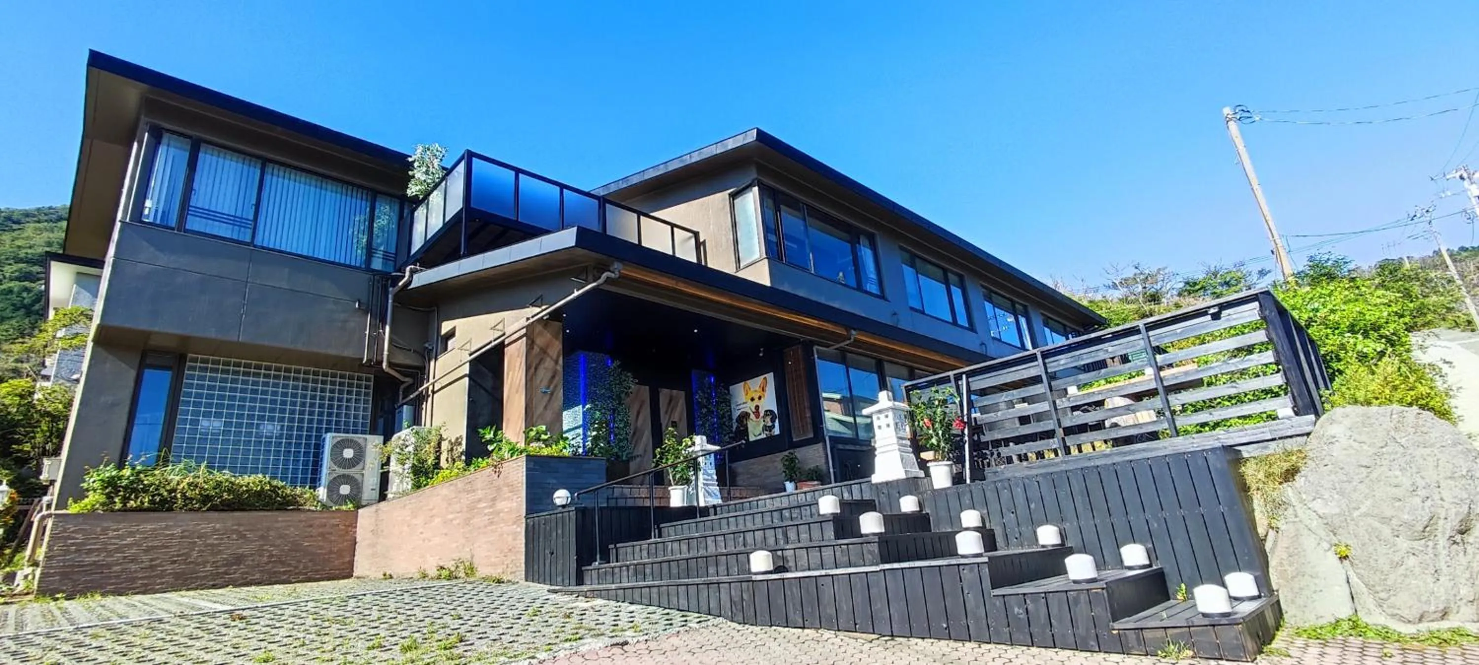 Hakone Gora Guam Dog