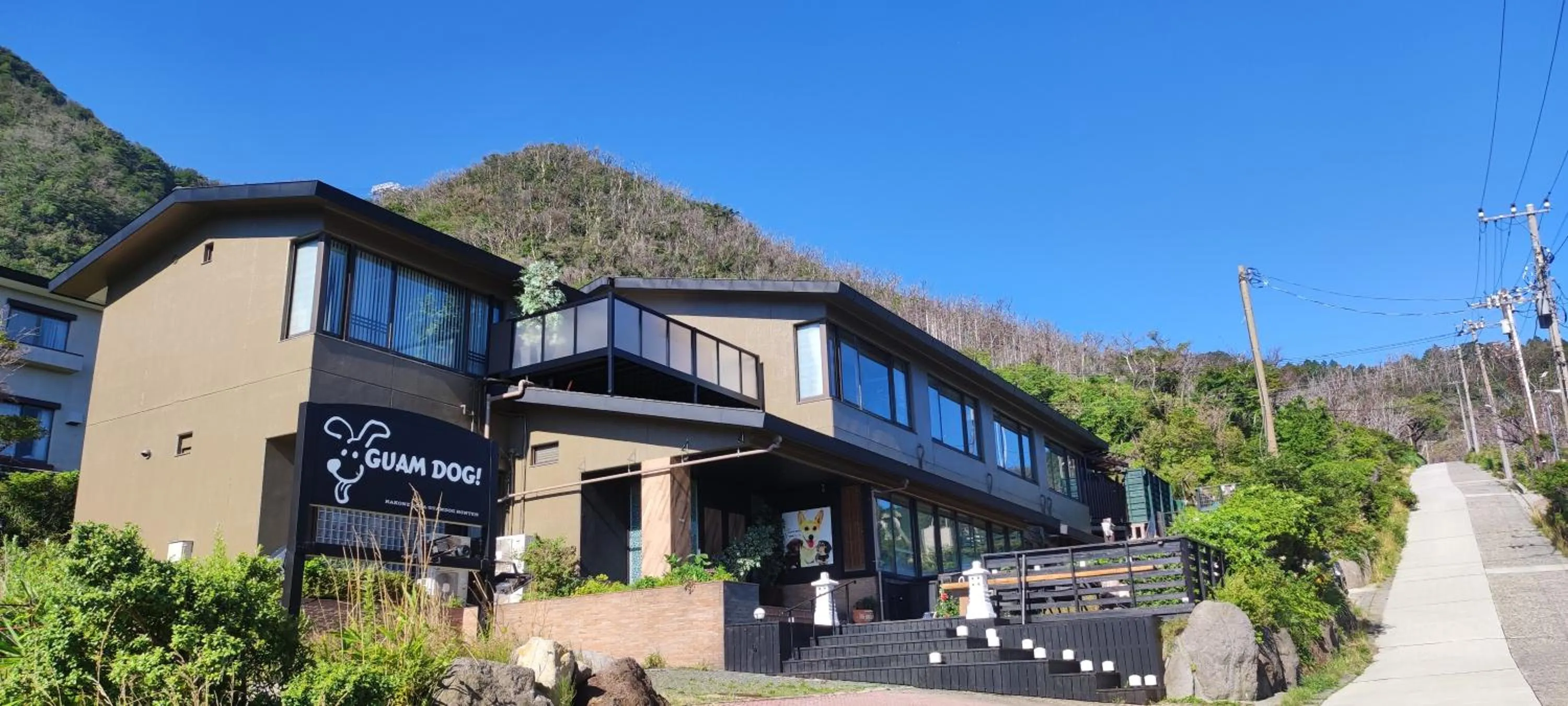 Hakone Gora Guam Dog