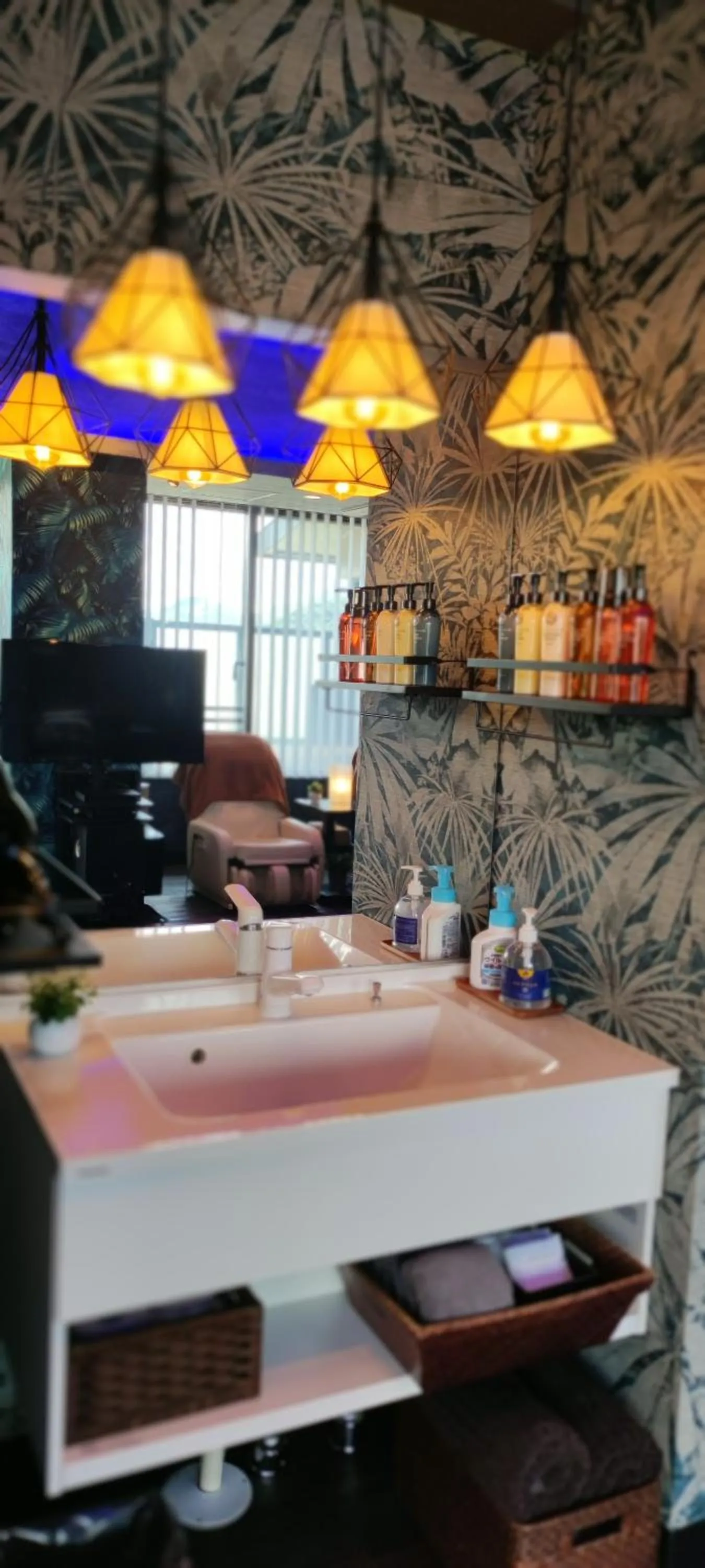 Hakone Gora Guam Dog