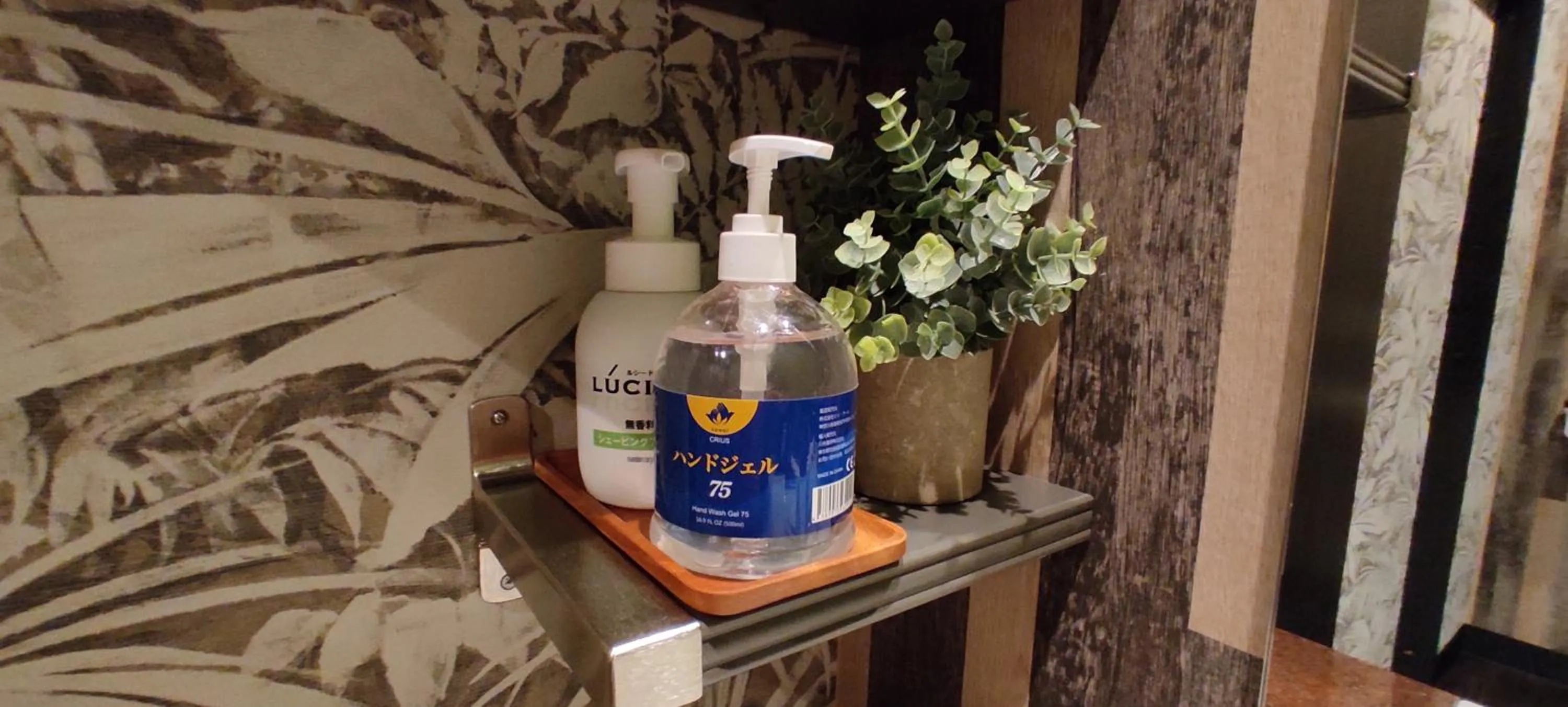 Hakone Gora Guam Dog