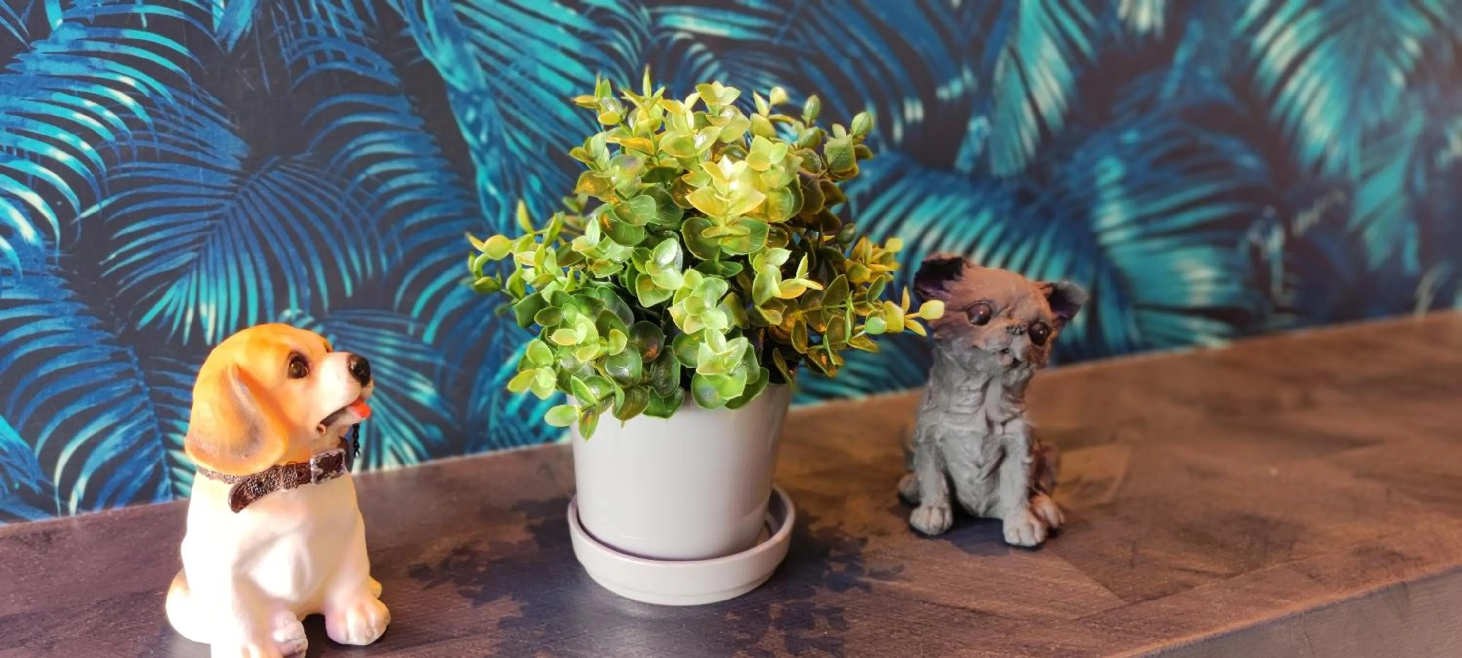 Hakone Gora Guam Dog