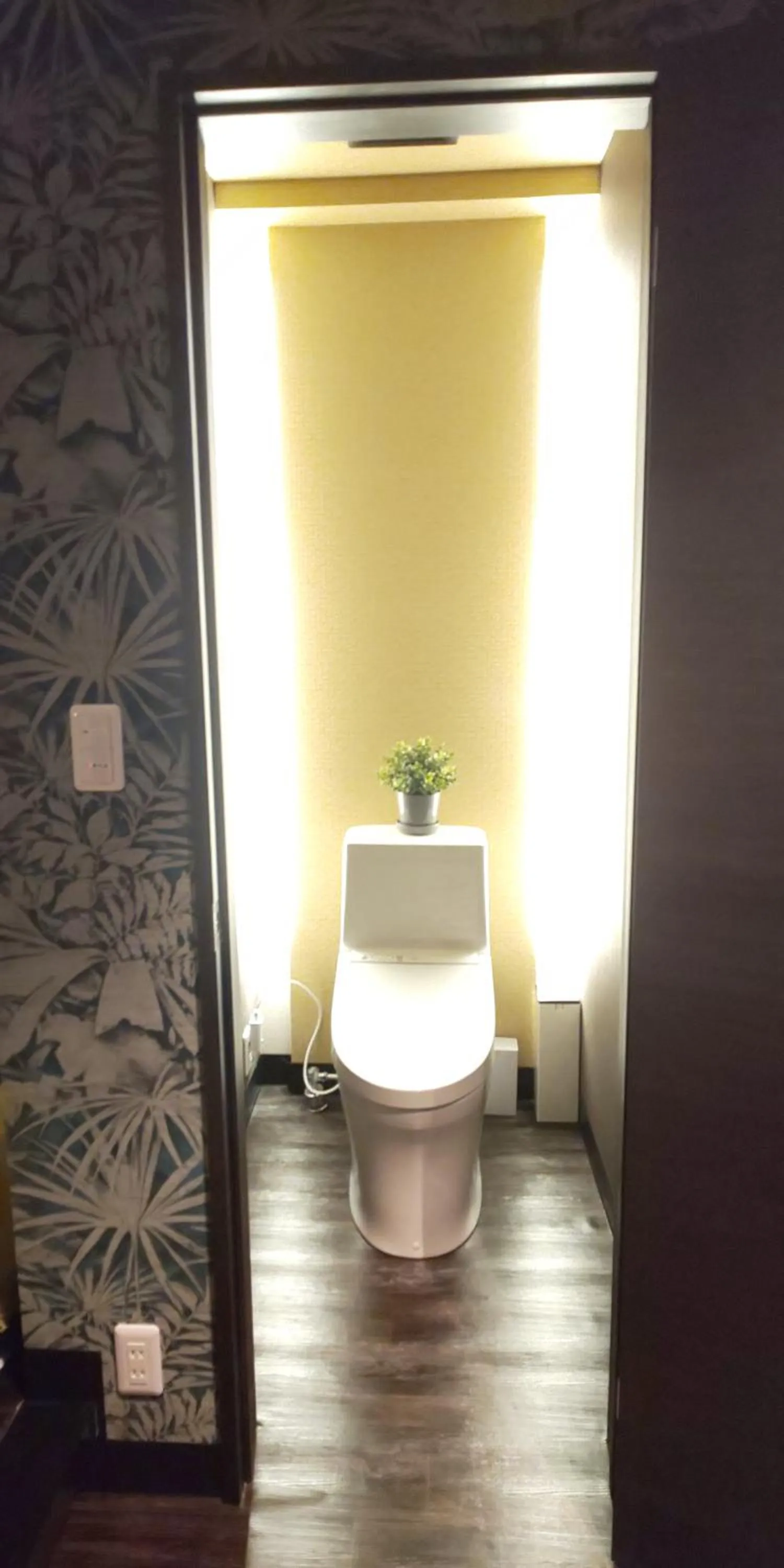 Hakone Gora Guam Dog