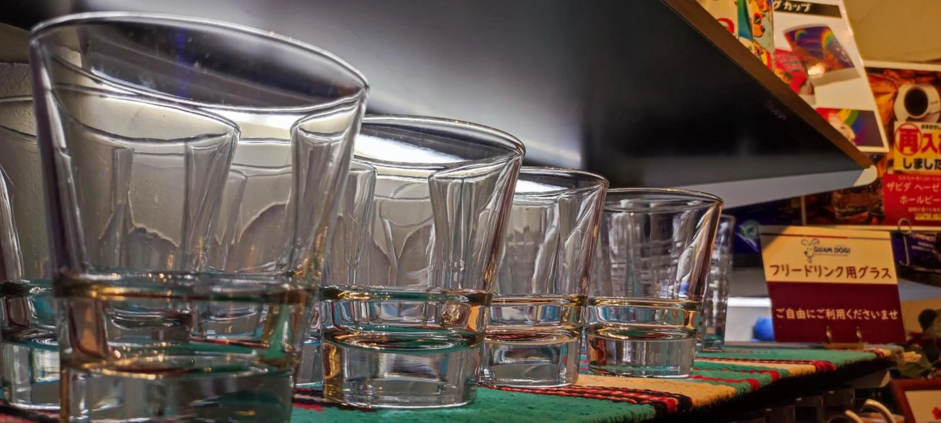 Hakone Gora Guam Dog