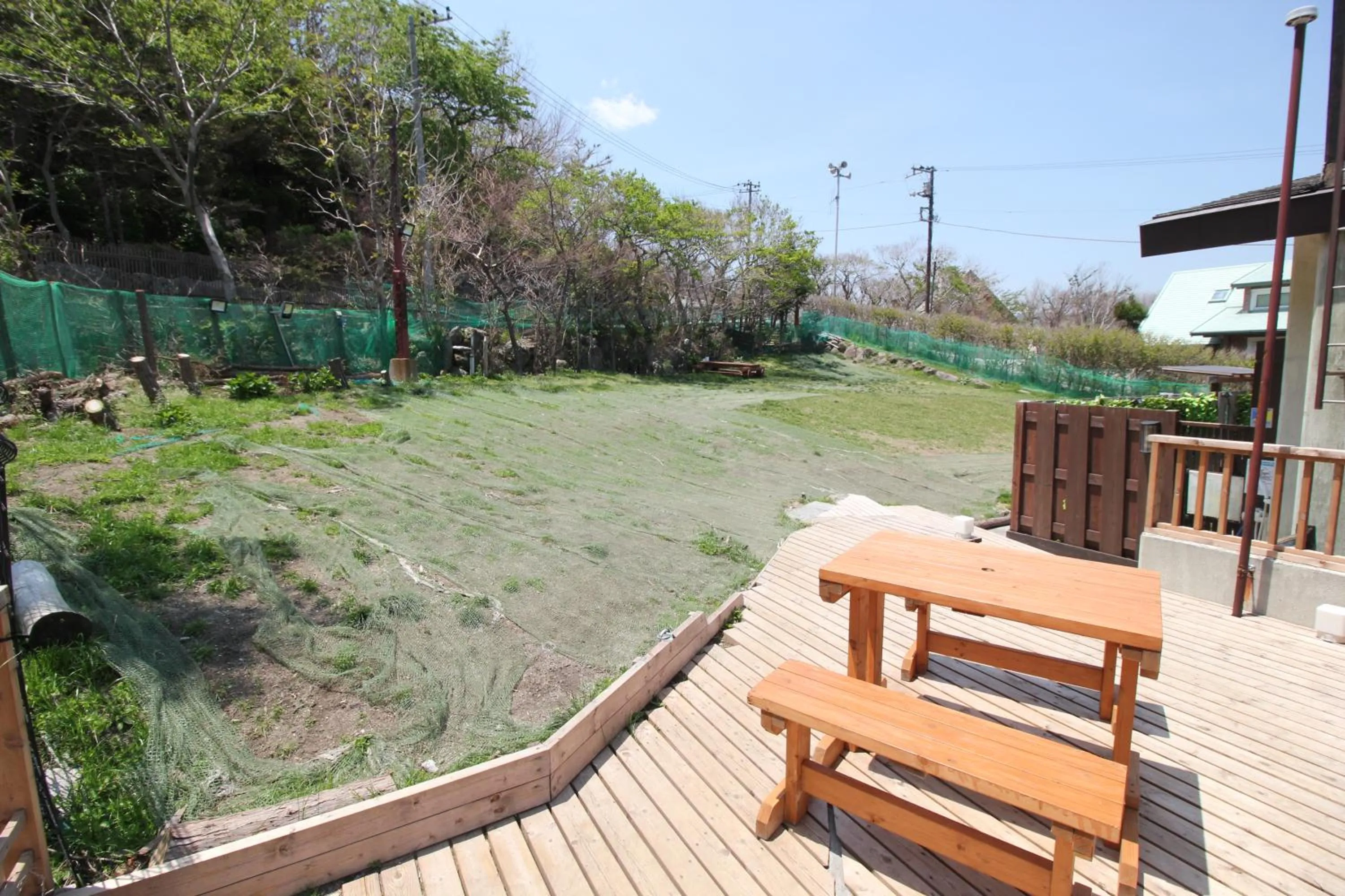 Hakone Gora Guam Dog