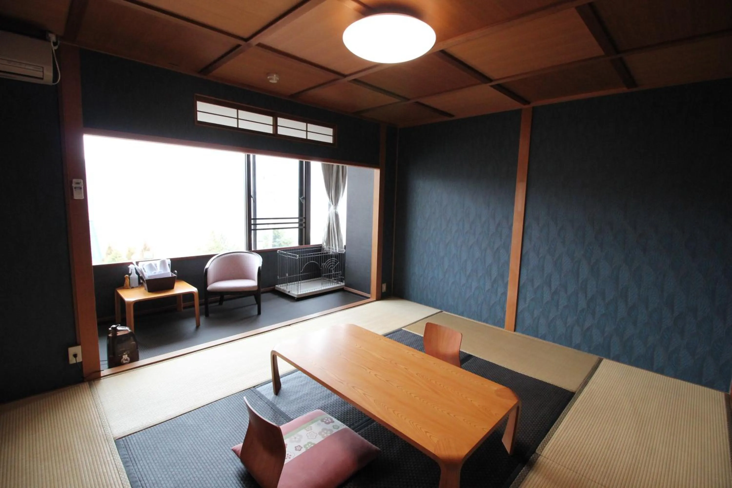 Hakone Gora Guam Dog