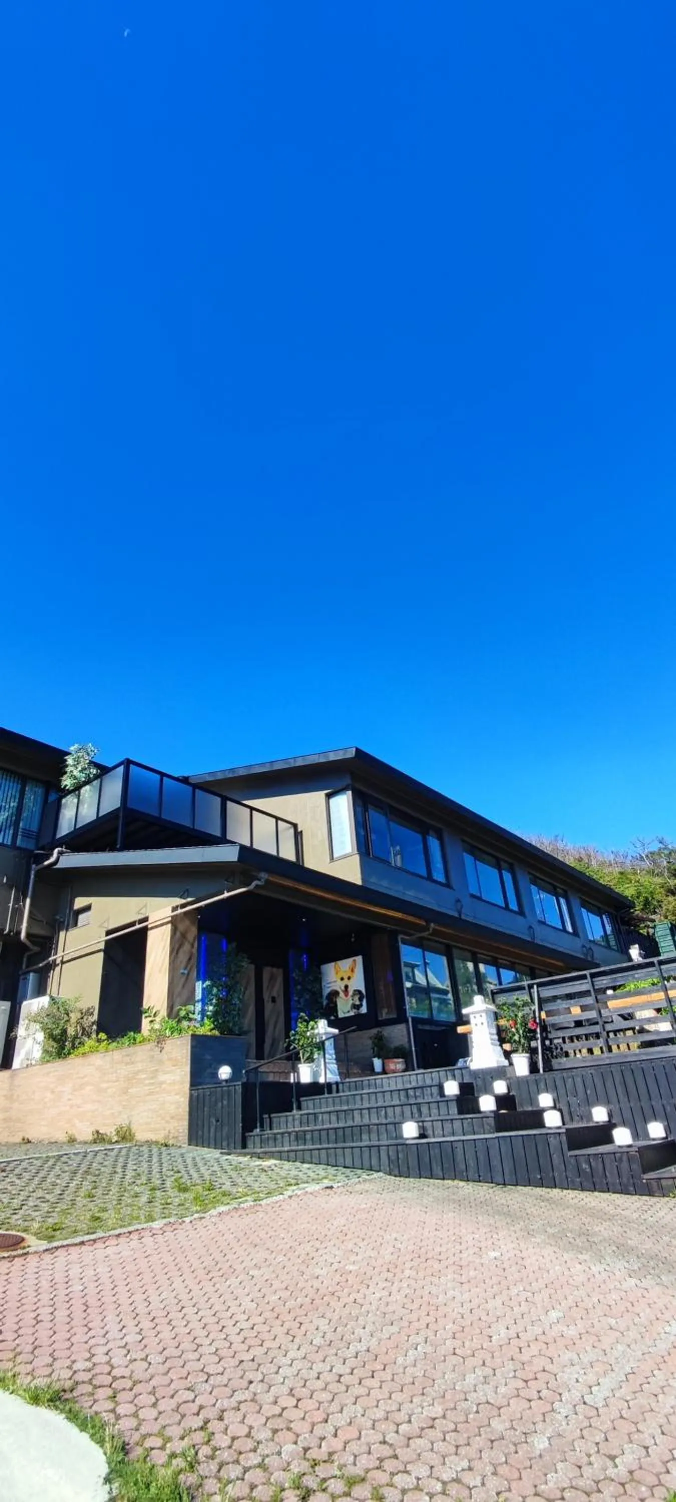 Hakone Gora Guam Dog